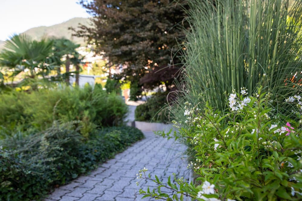 Фото Smart-Hotel Minusio