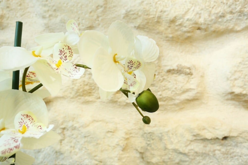 Фото Residence Tour Eiffel Champs de Mars