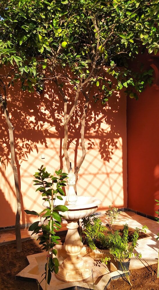 Фото Le petit jardin Marrakech