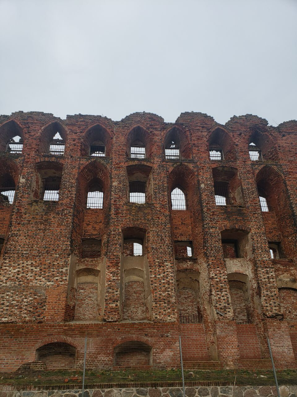 Фото Принцесса Рагнета