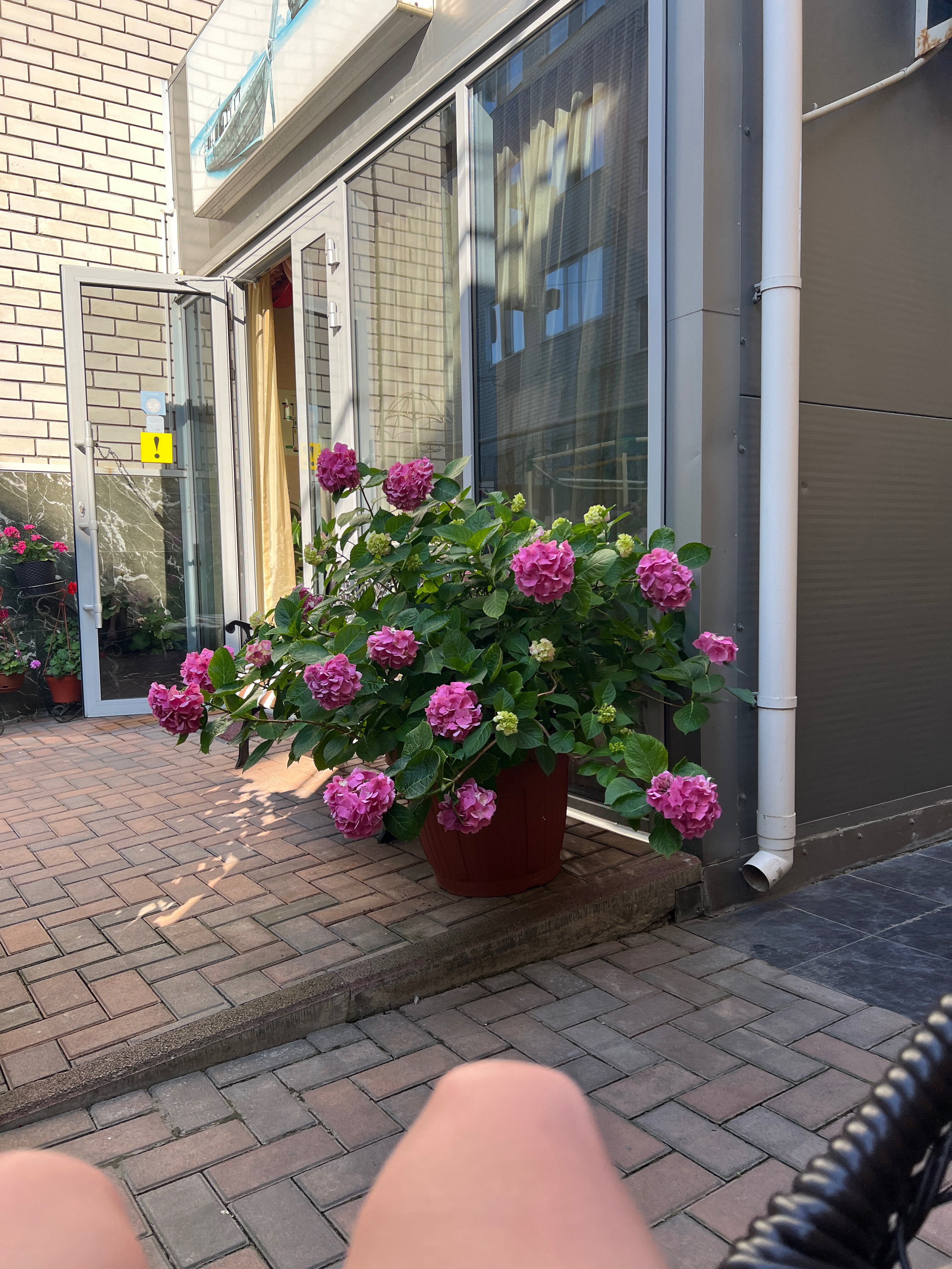 Фото Бухта Радости