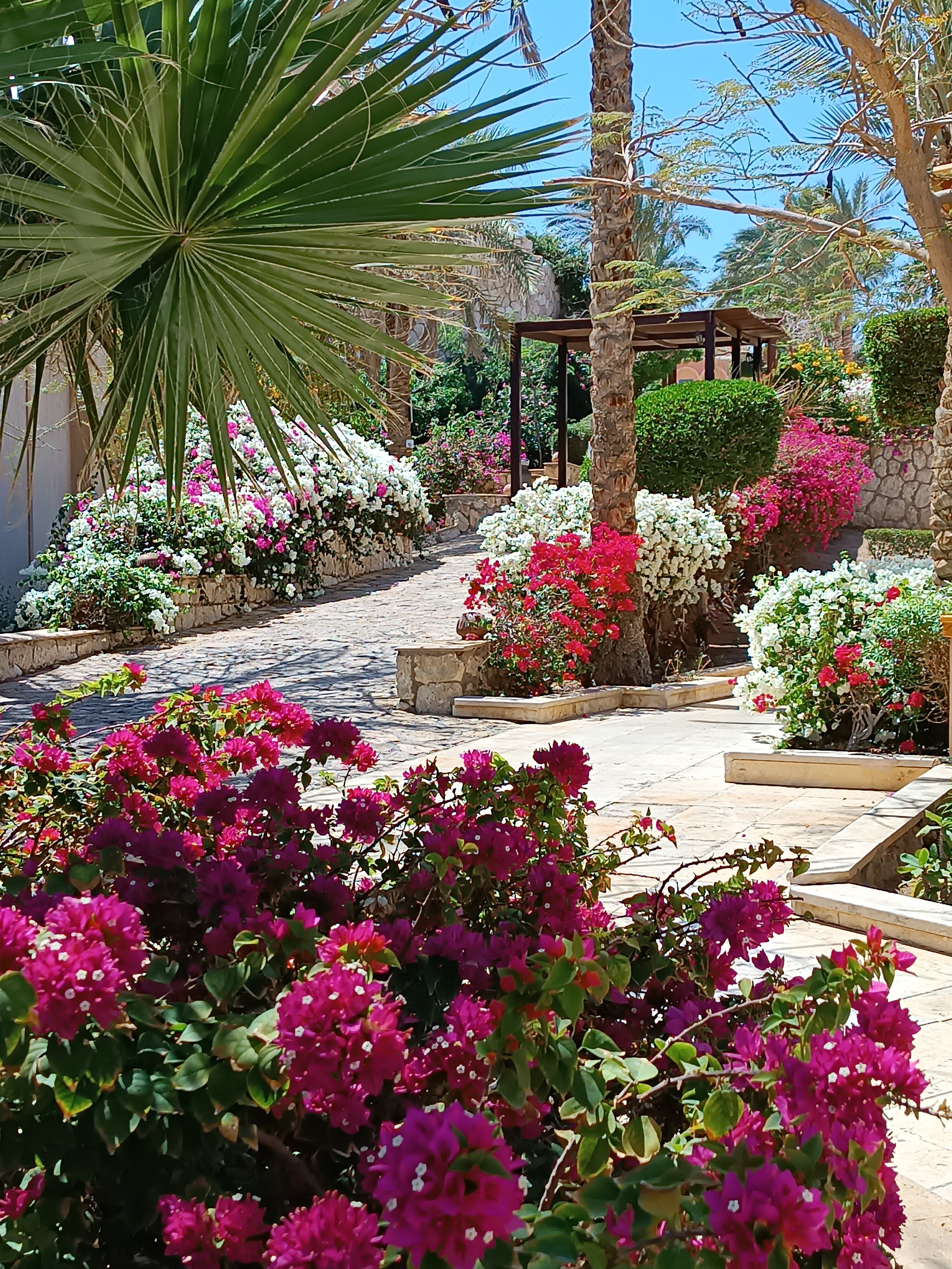 Фото Tamra Beach Resort