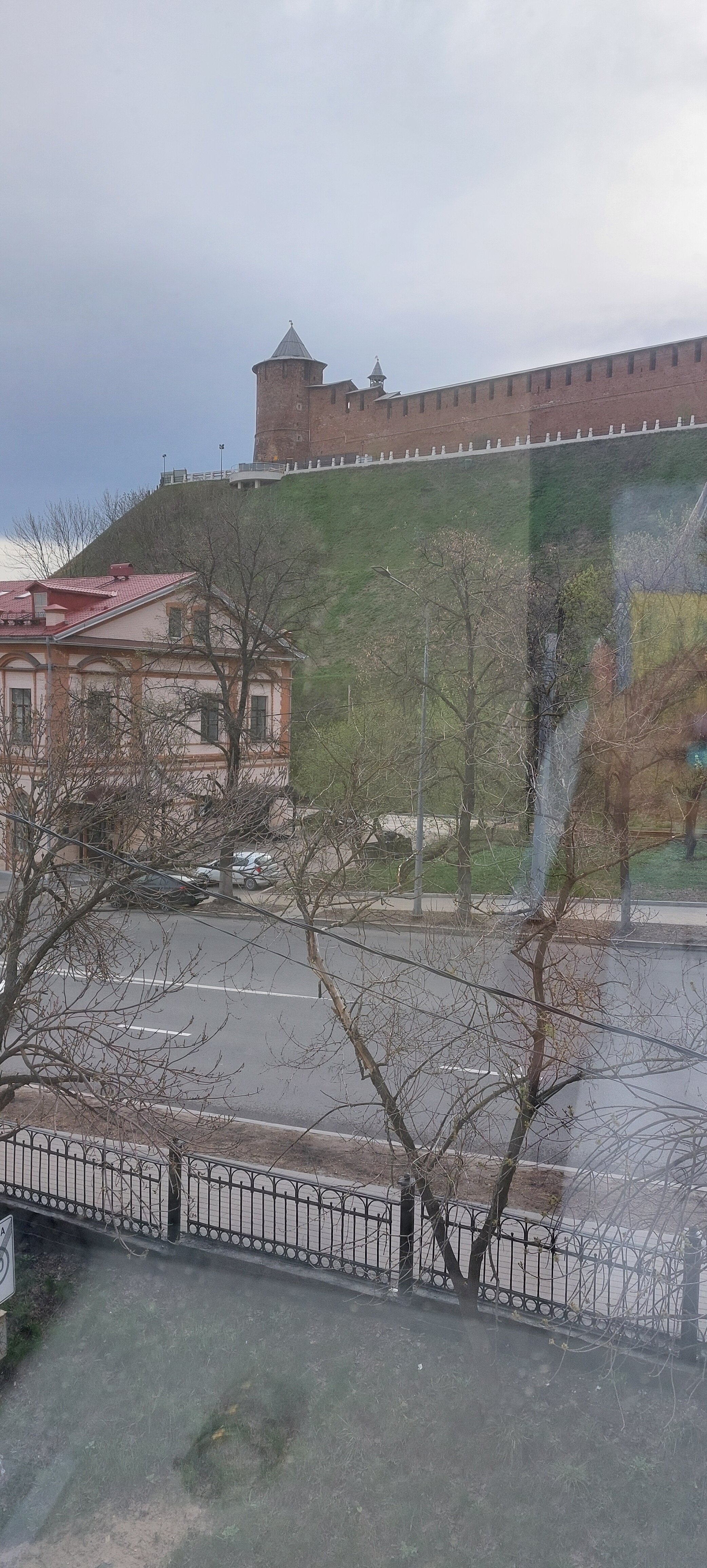 Фото Золотой Клевер