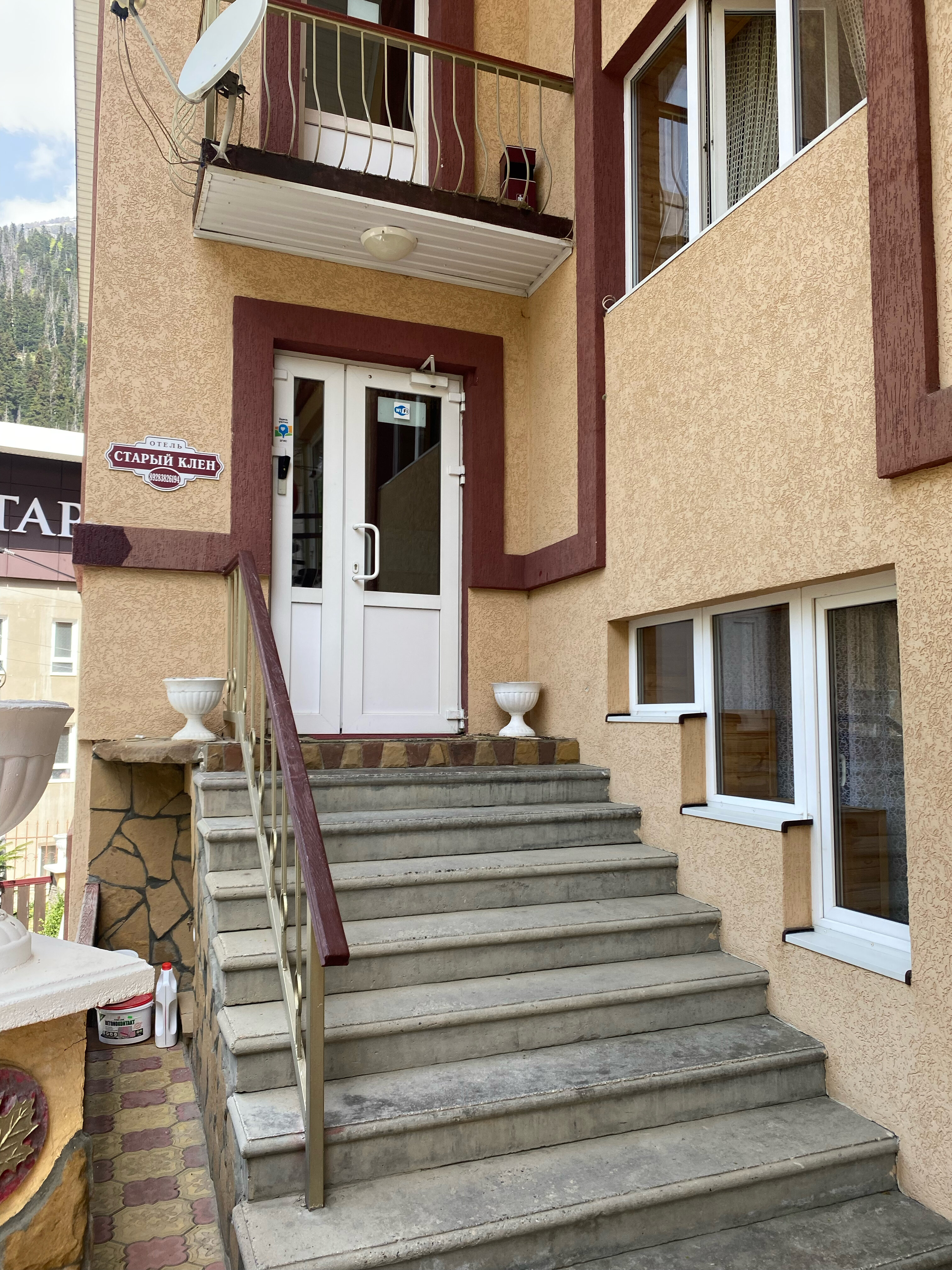 Фото Старый Клён