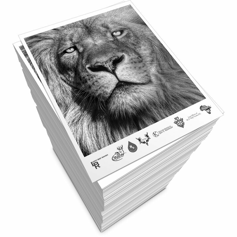 Printing services Easy Stationery, Sharjah, photo