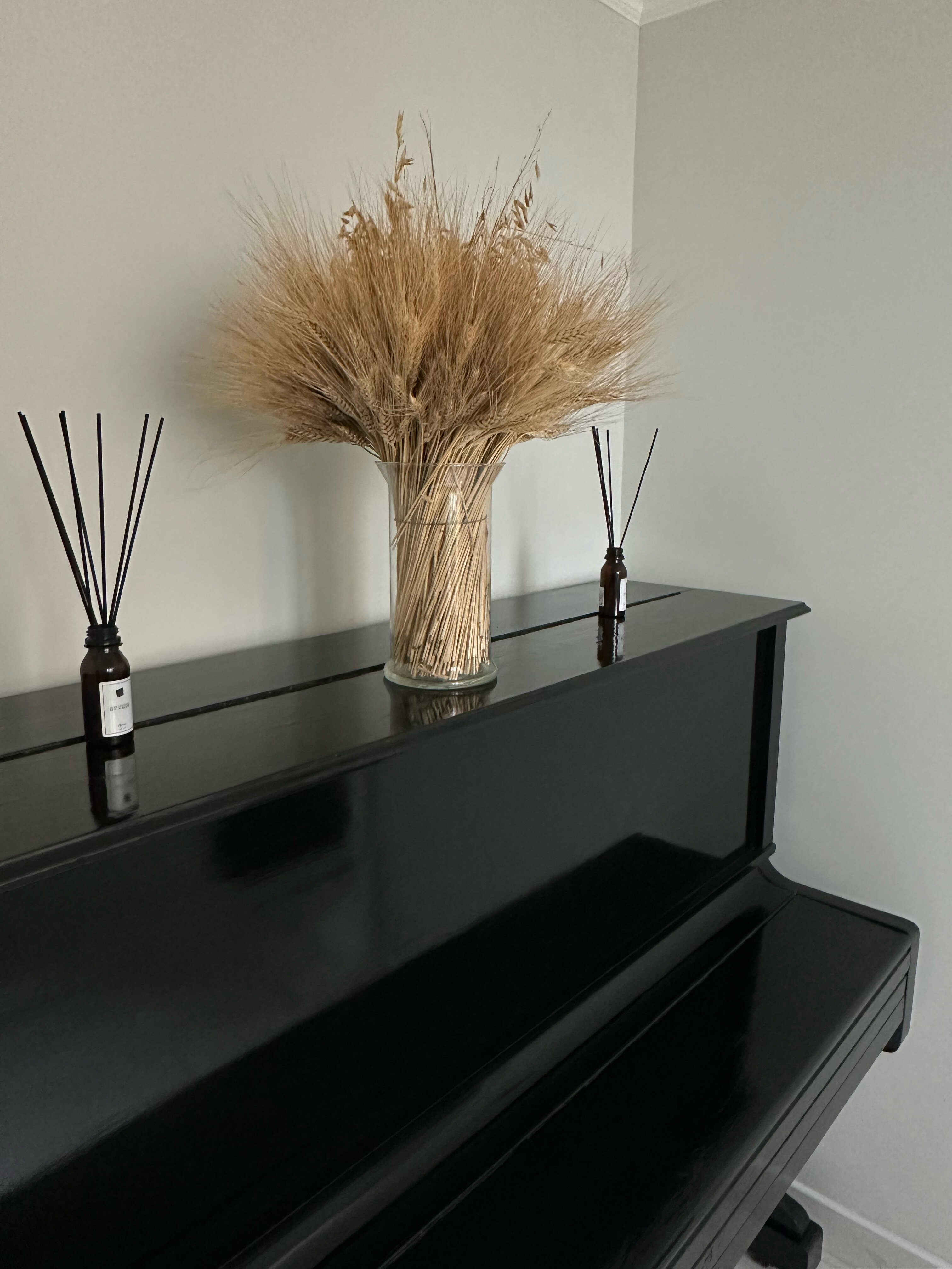 Фото В Теме