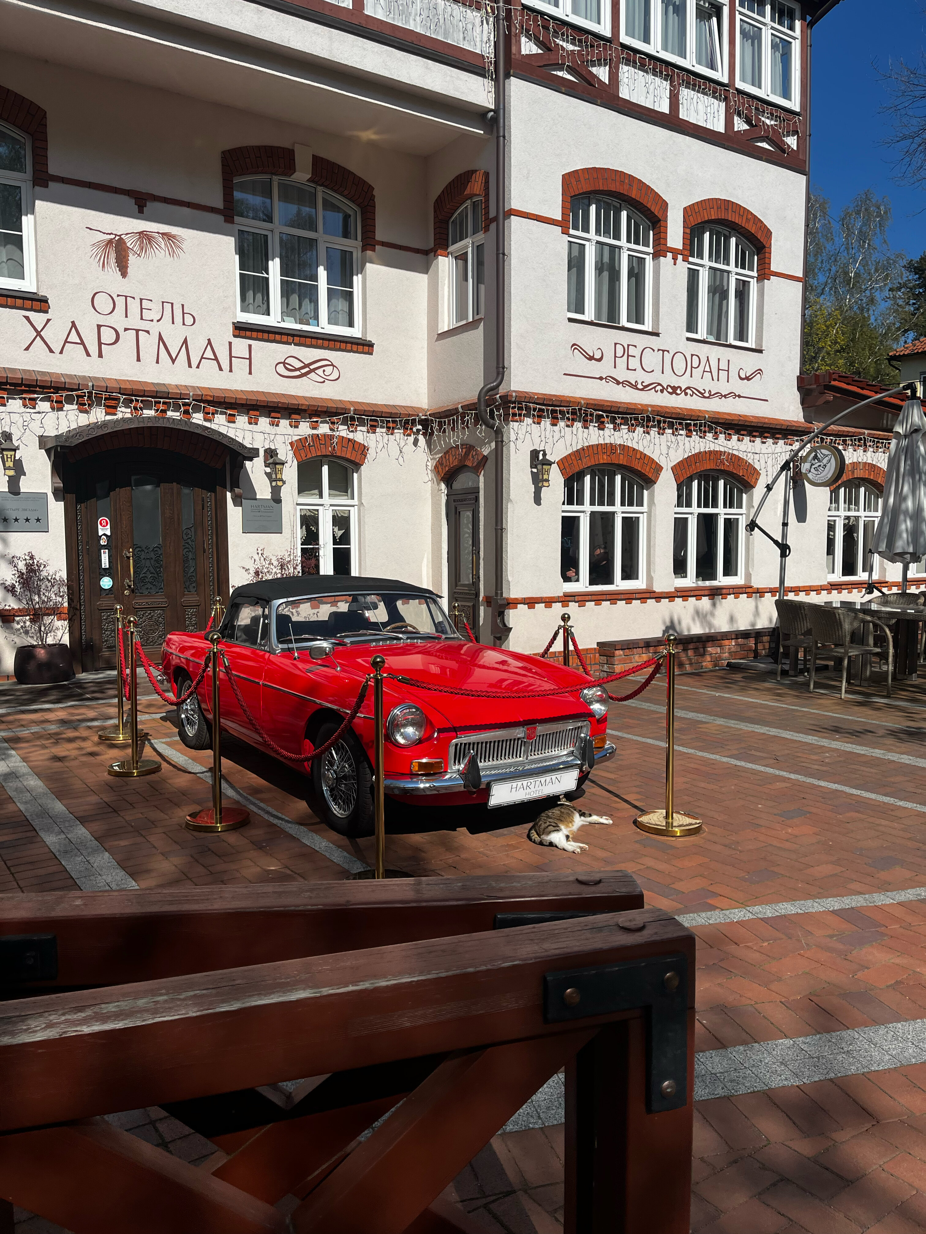 Фото Старый Доктор