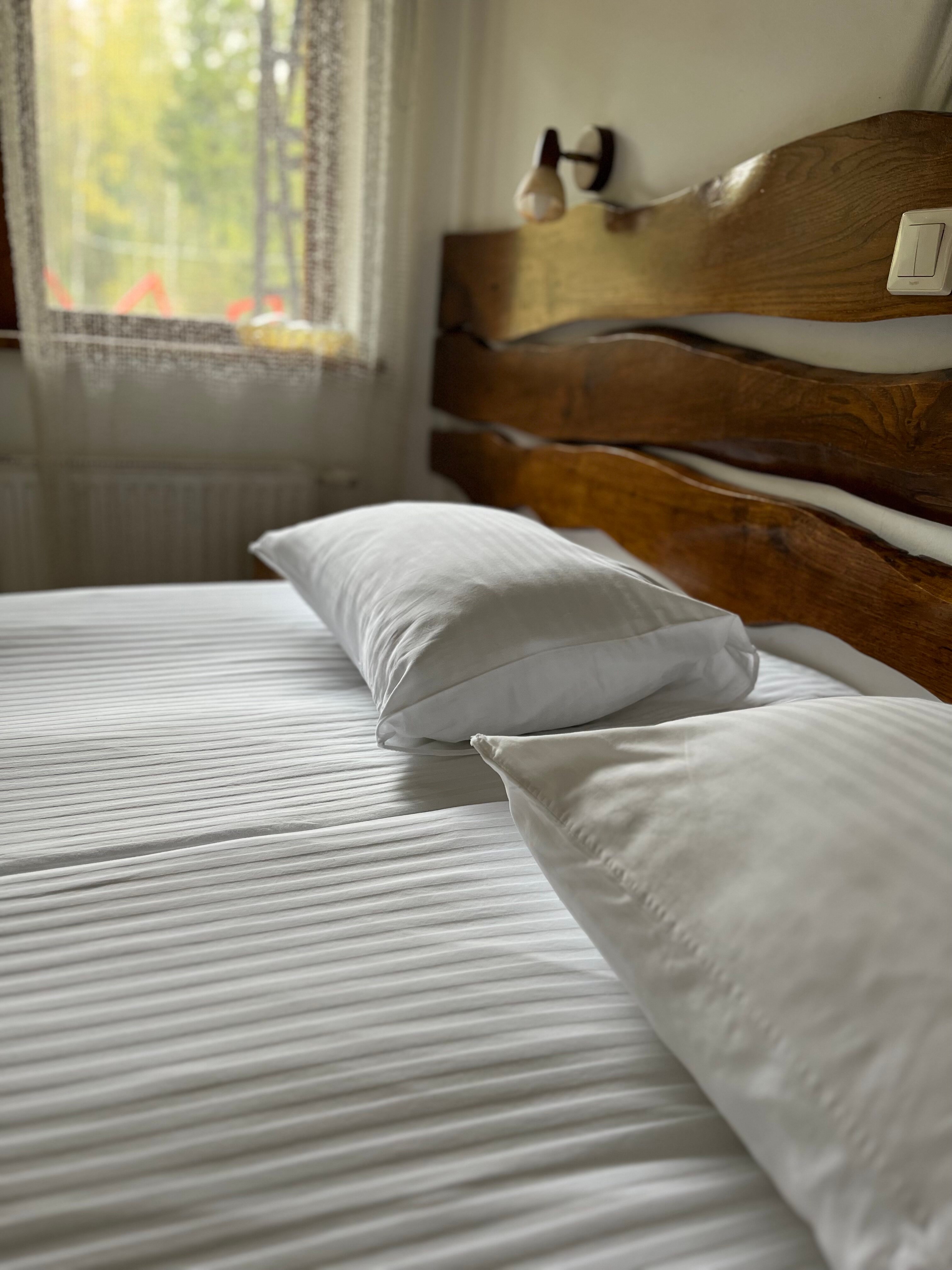 Фото Гуси-Лебеди