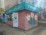 Эдельвейс (ул. Кенесары Касымулы, 25), магазин цветов в Кокшетау