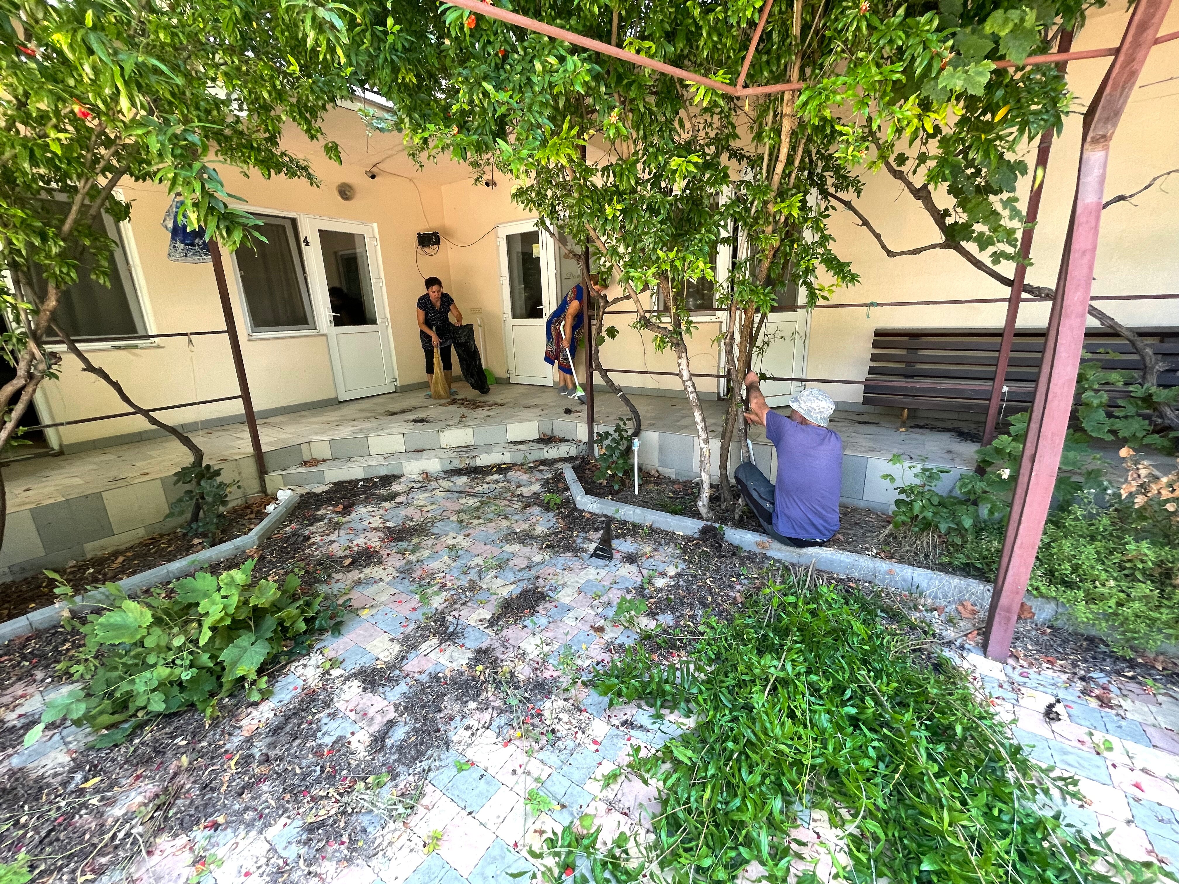 Фото Кипарис