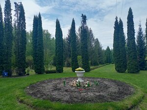 Железногорский дендрологический парк (Курская область, Железногорск, улица Дружбы), лесопарк в Железногорске