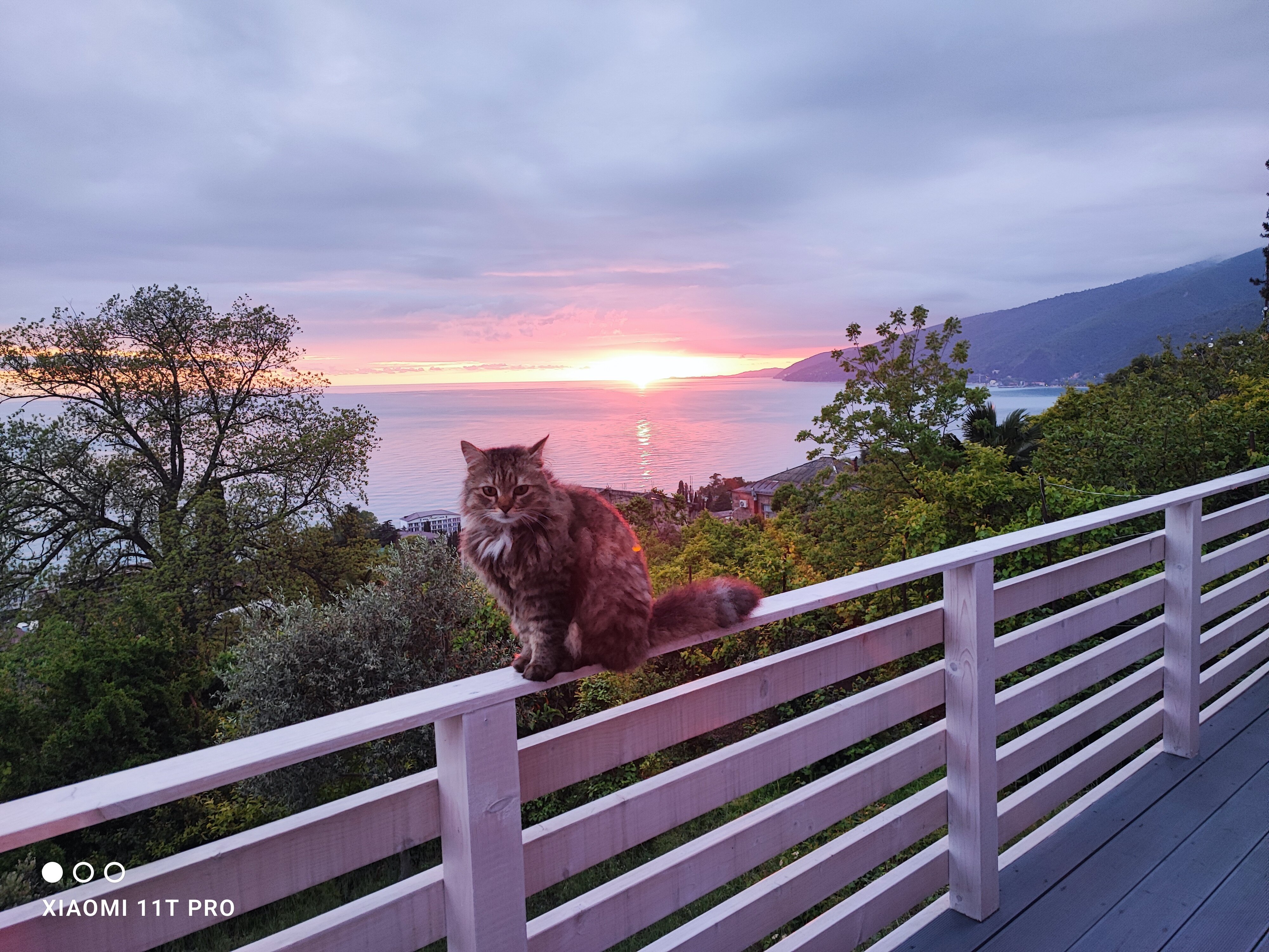Фото Эко-отель Крылья