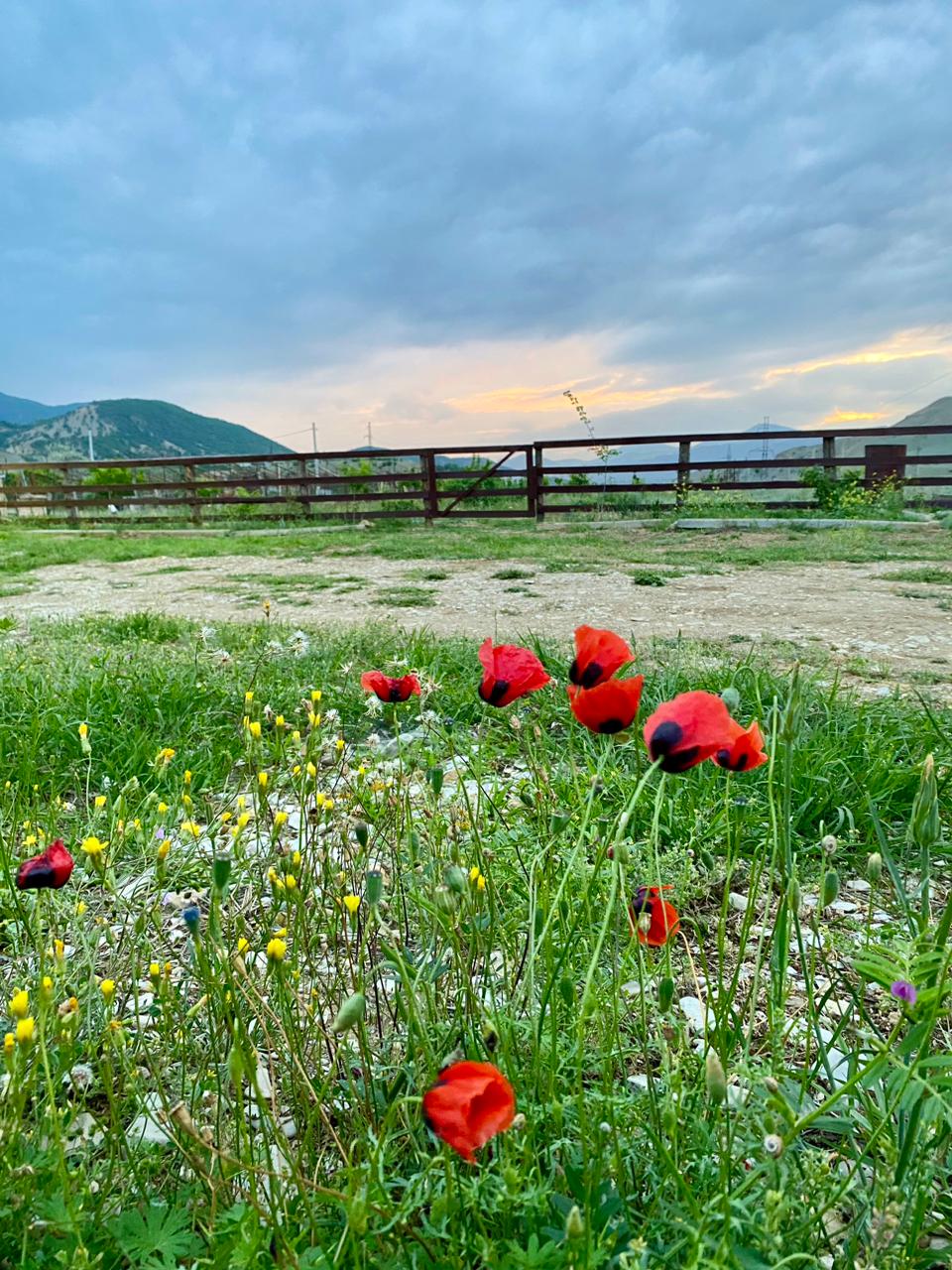 Фото Домик у обрыва