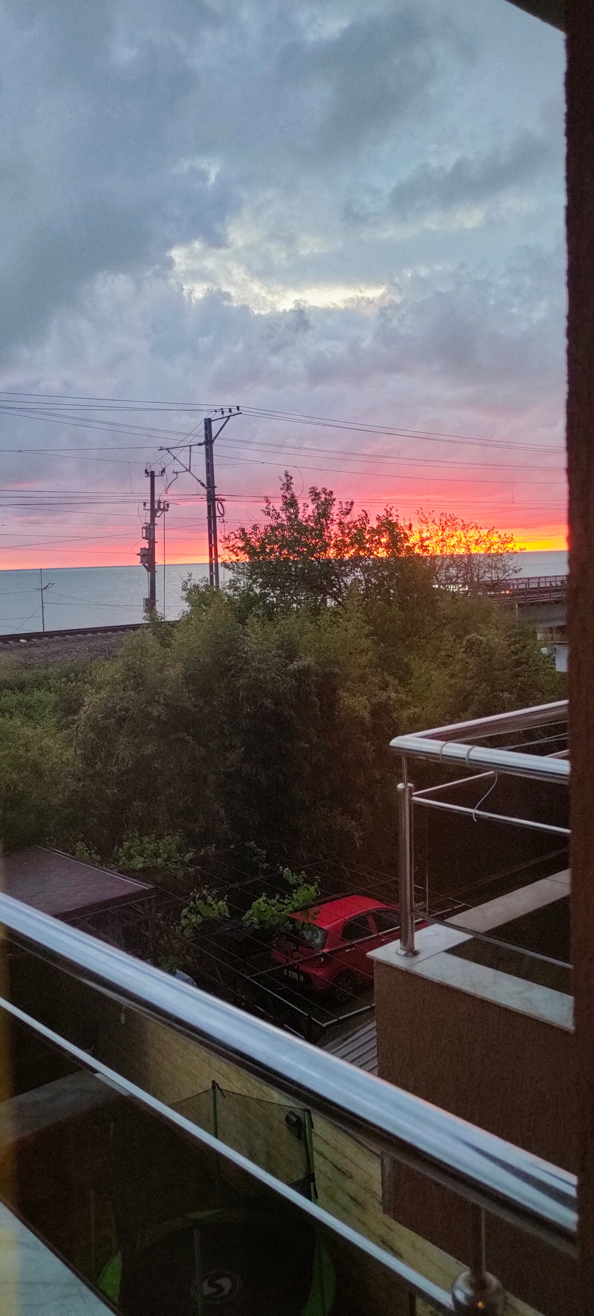 Фото Роза Ветров