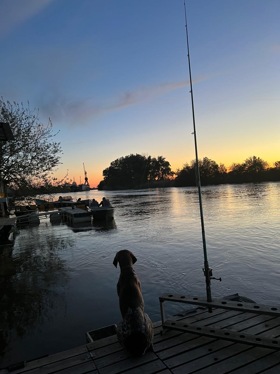 Фото Домдрузей.рф