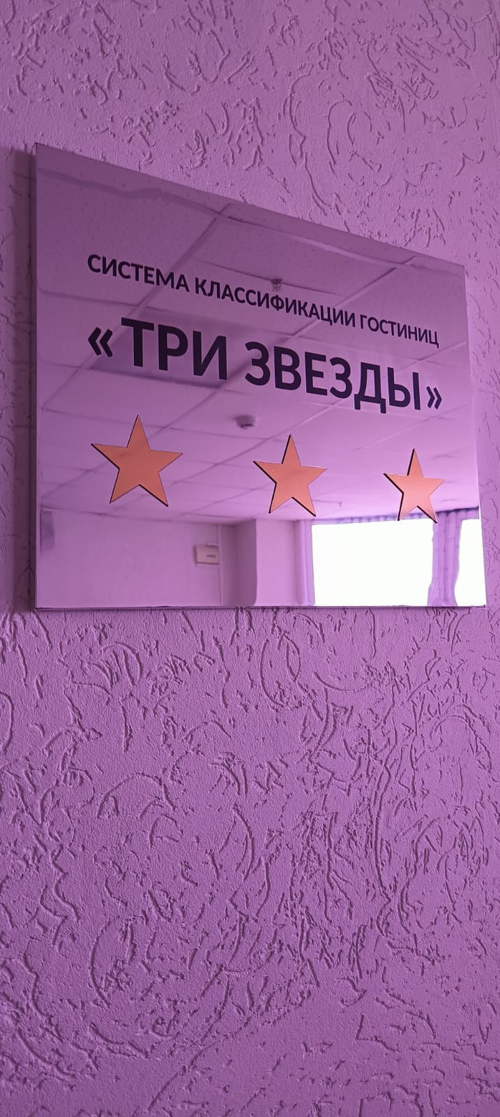 Фото Пантера