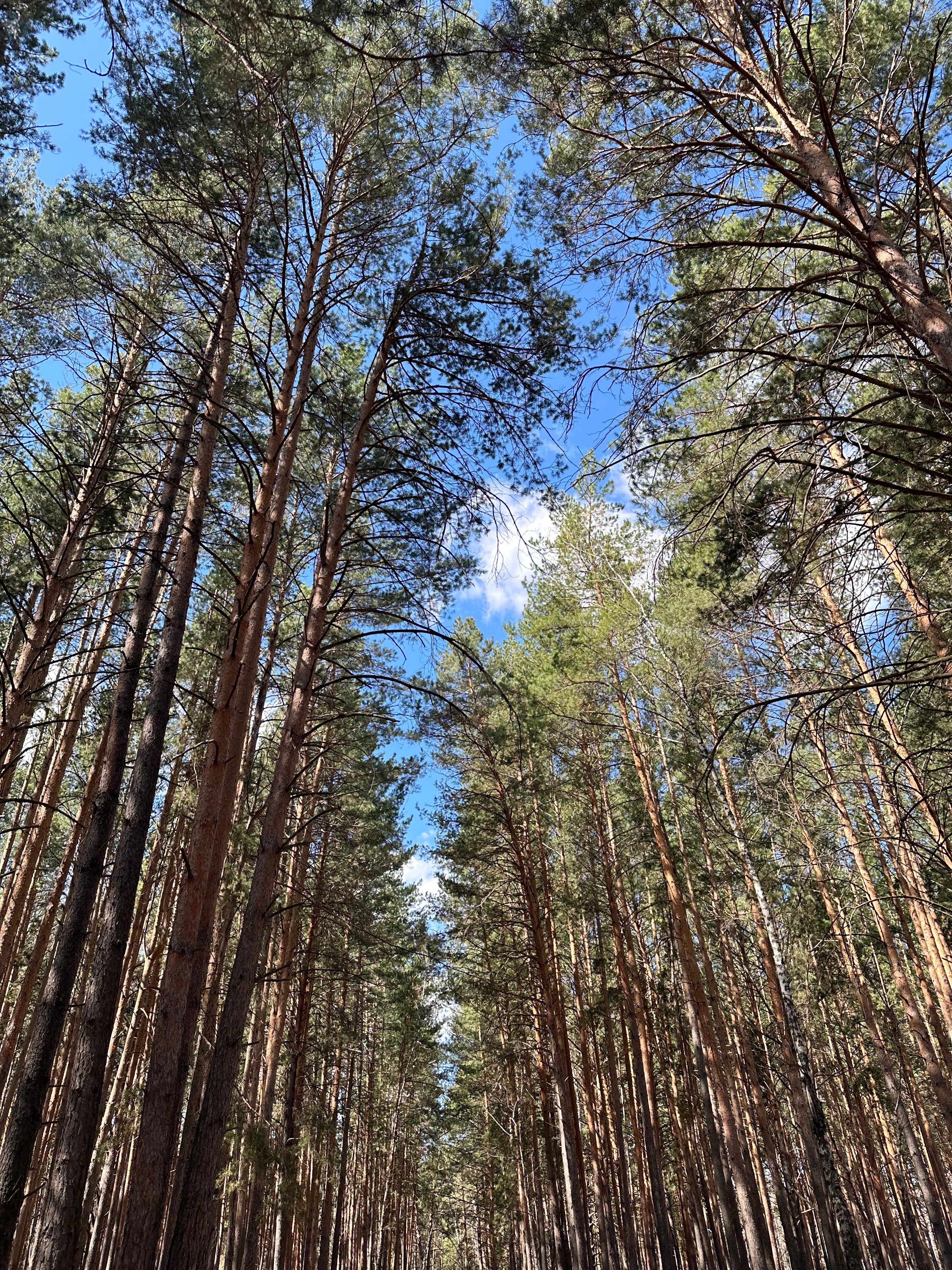 Фото Живое Окунево
