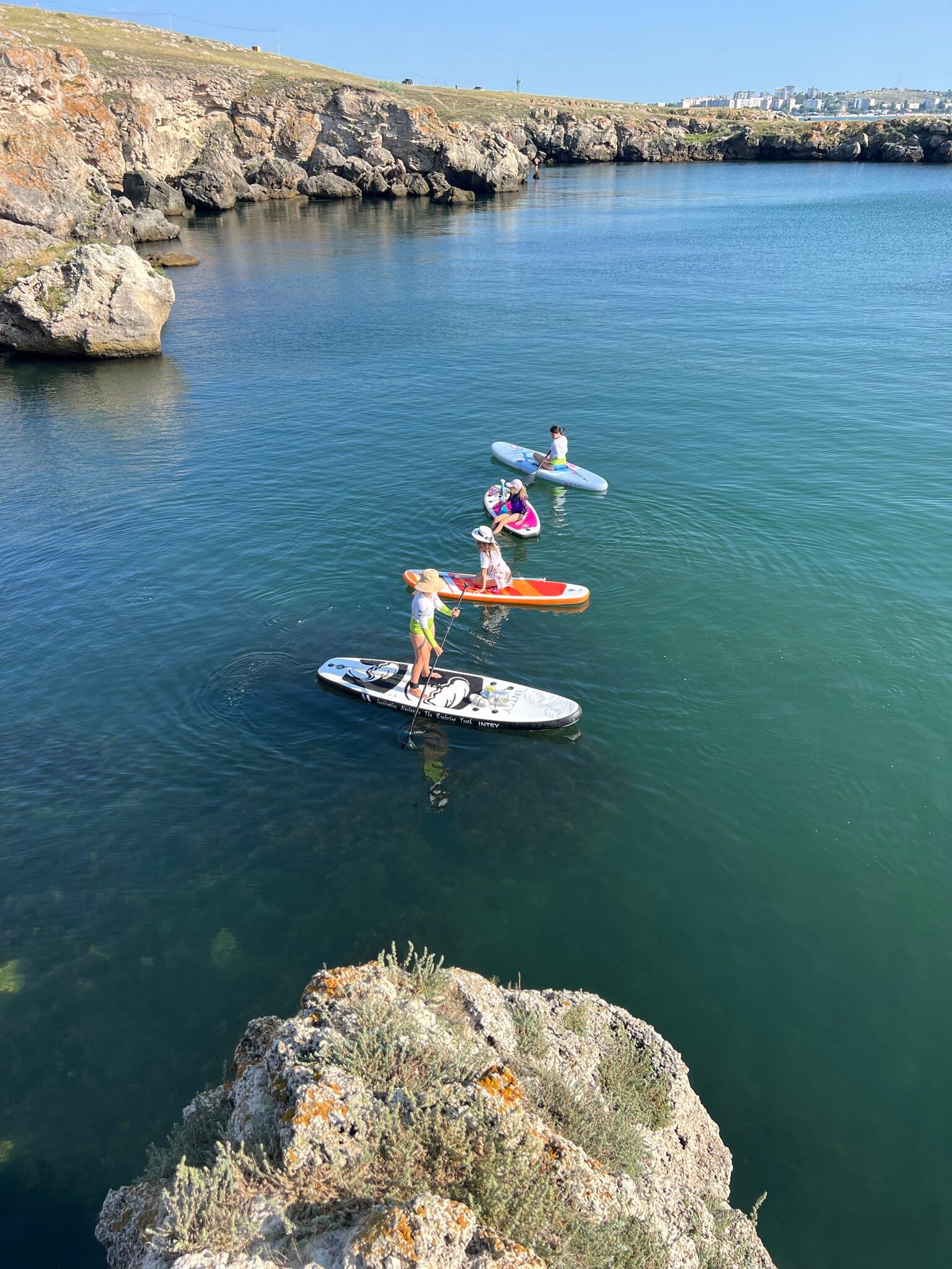 Фото Белый кролик