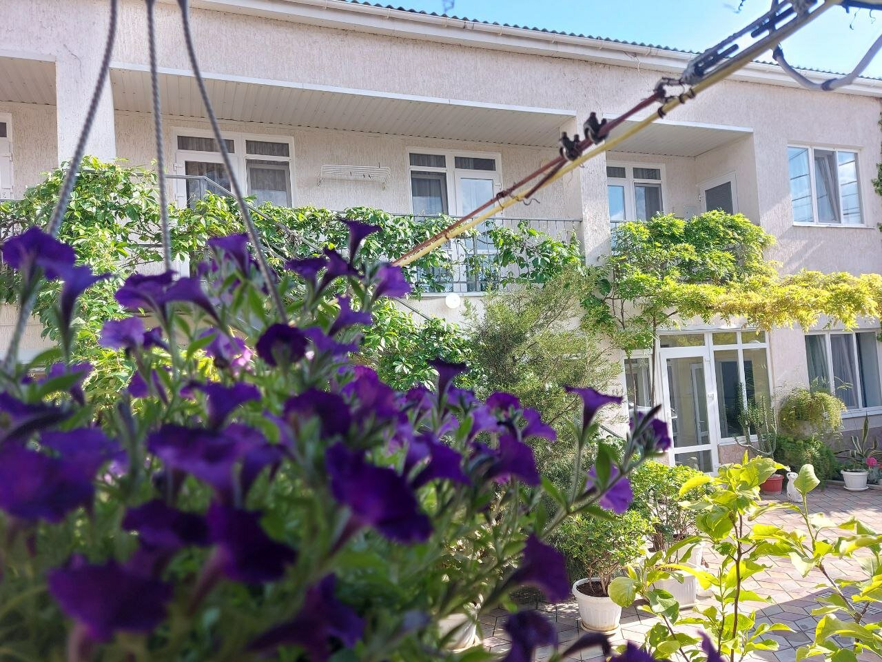 Фото Гостевой дом Виктория