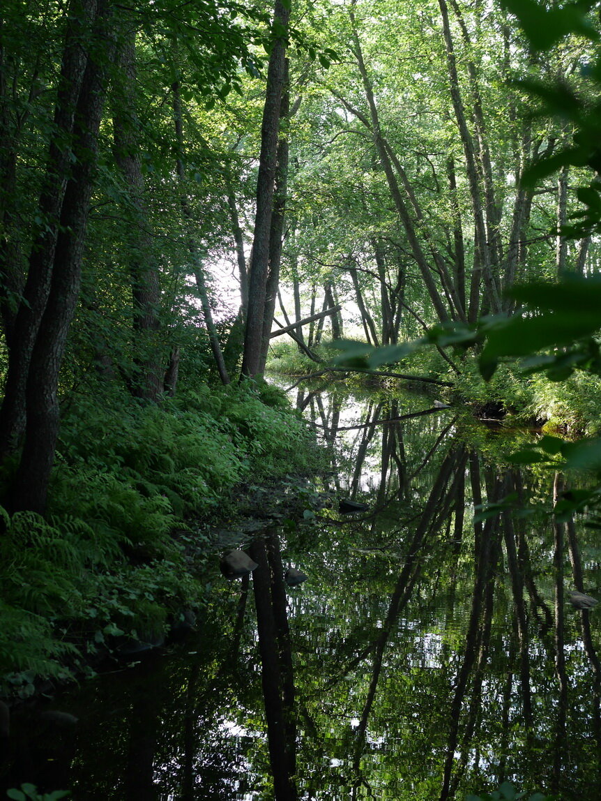 Фото Домик Коиви