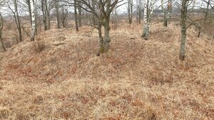 На этом месте расположено древнее городище 10-11 века (Smolensk Region, Roslavlskiy District, Ostyorskoye selskoye poseleniye), landmark, attraction
