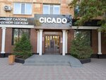 Cicado (ulitsa Mashkhura Zhusupa, 22), tienda de ropa
