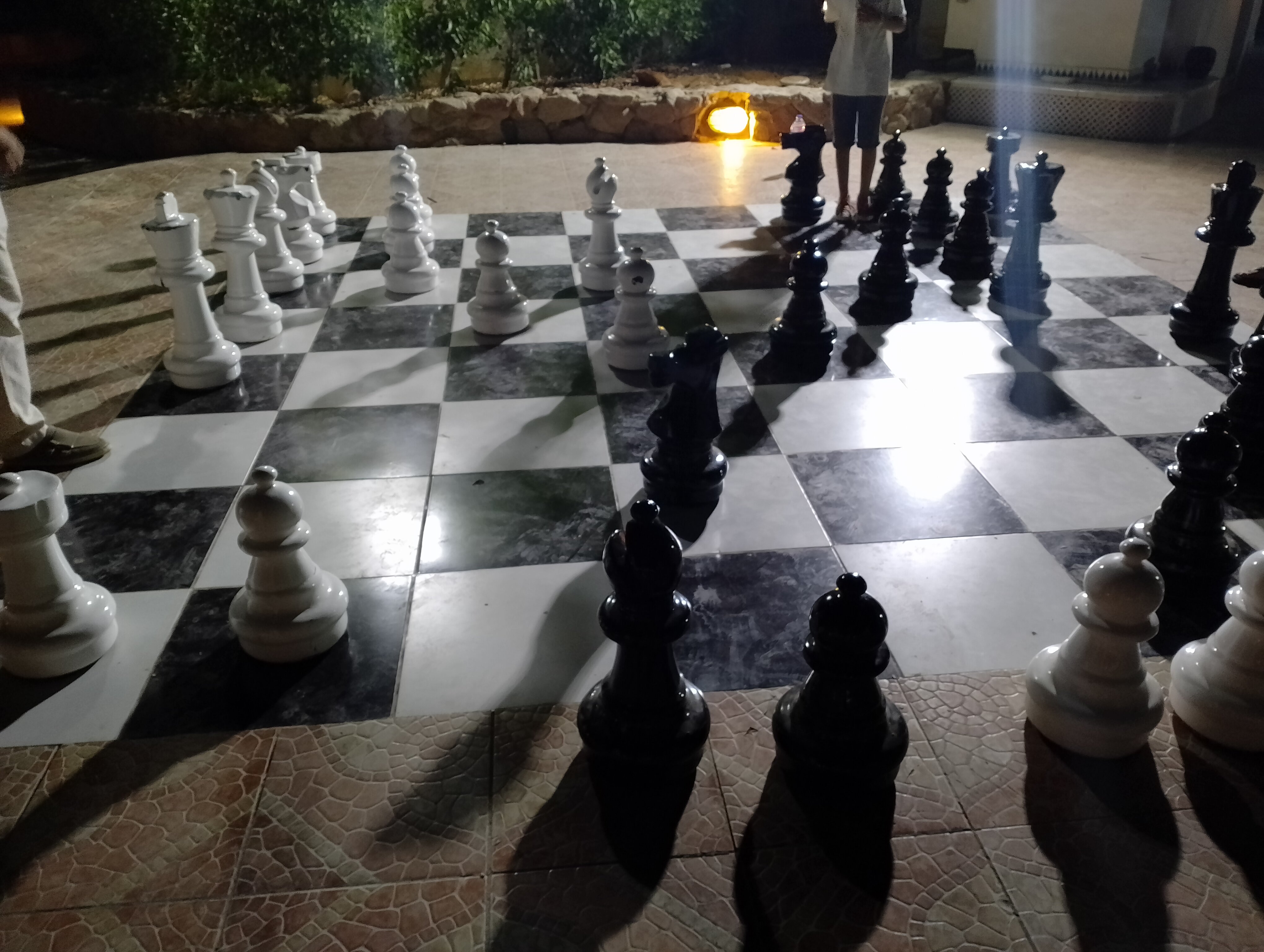 Фото Domina Coral Bay Resort, Diving, SPA & Casino