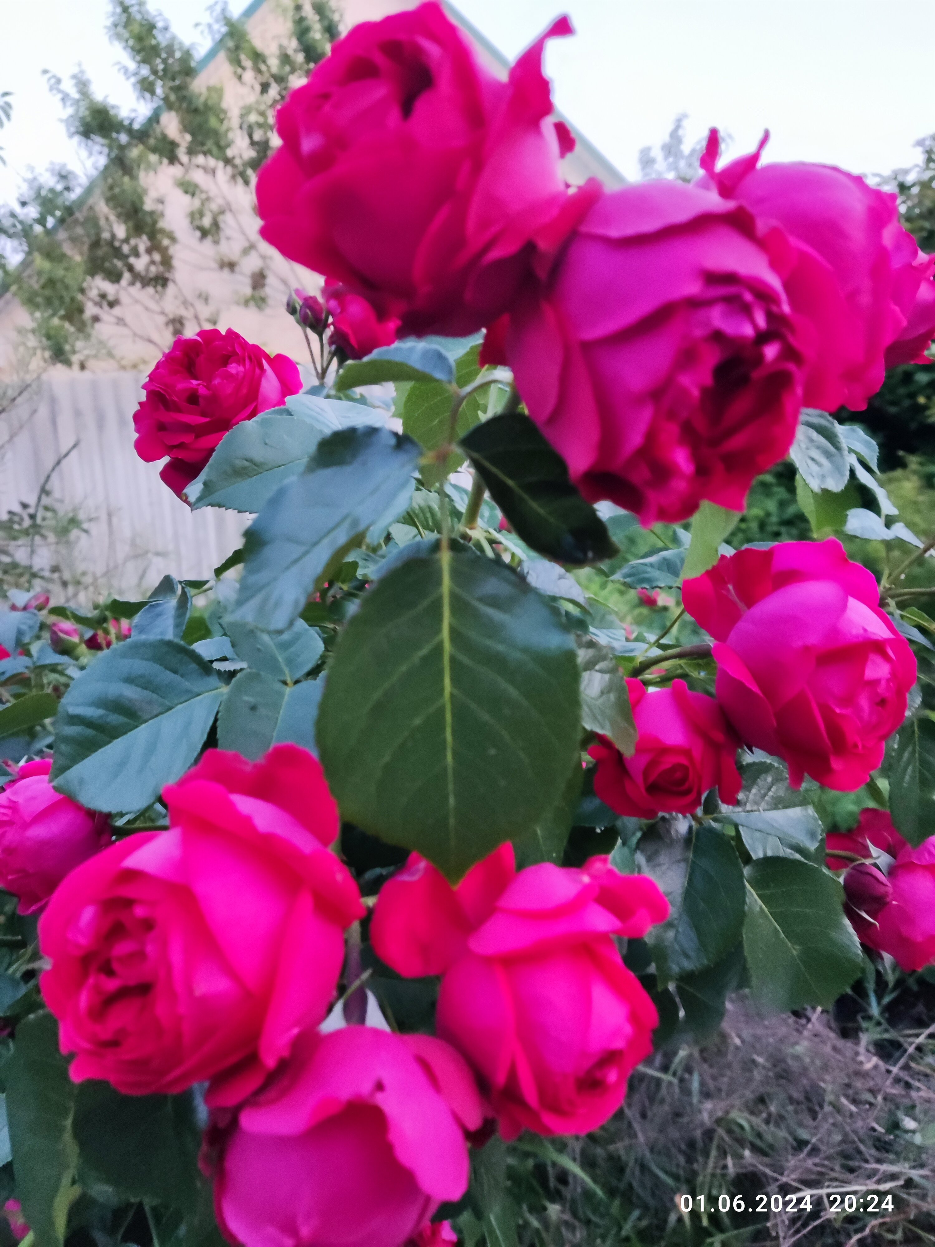 Фото Жилье у моря