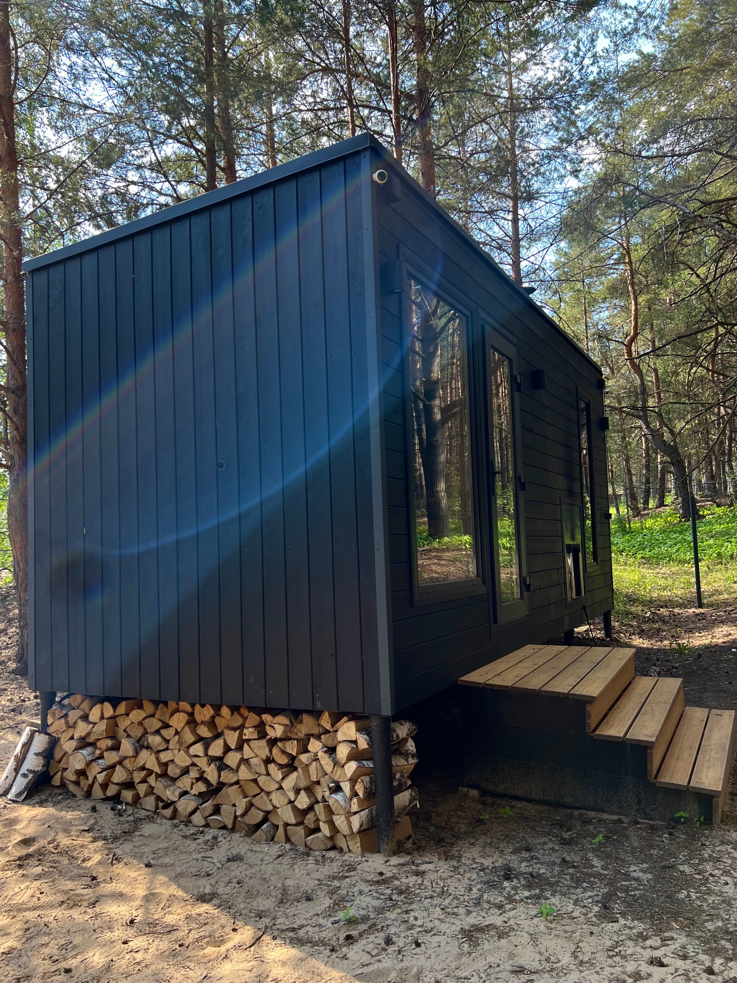 Фото Место под соснами