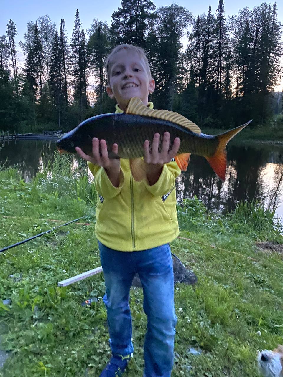 Фото Forest Glamp