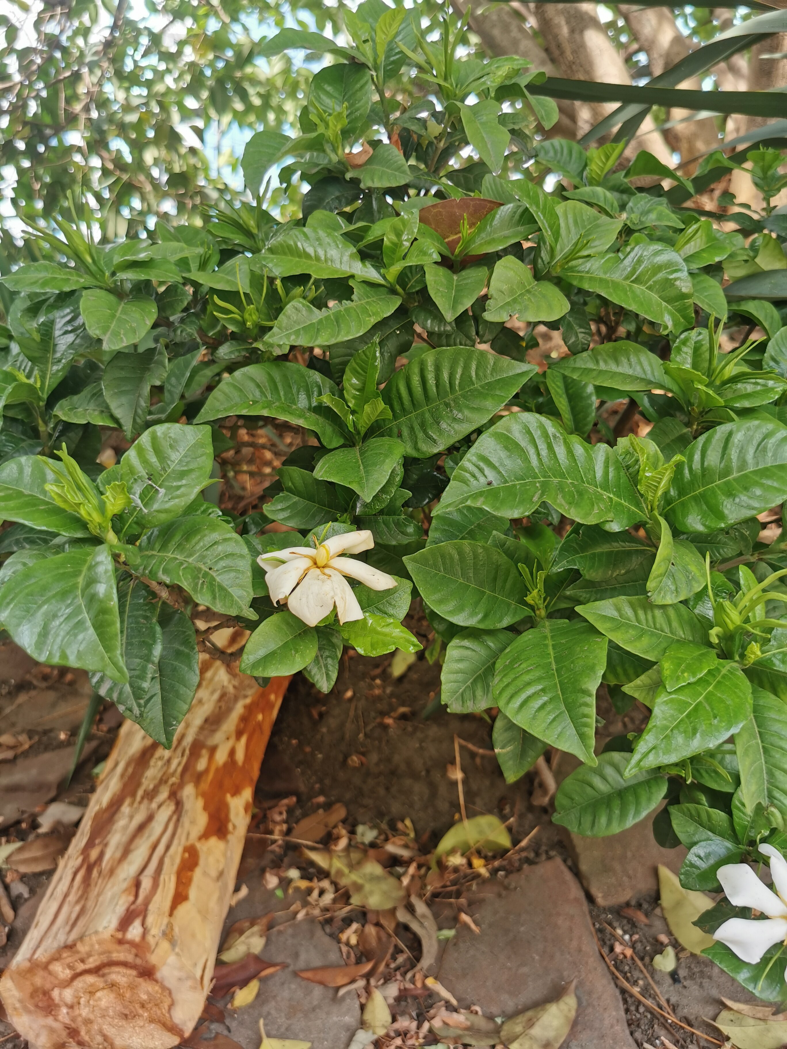 Фото Гостевой дом Гавань-Адлер