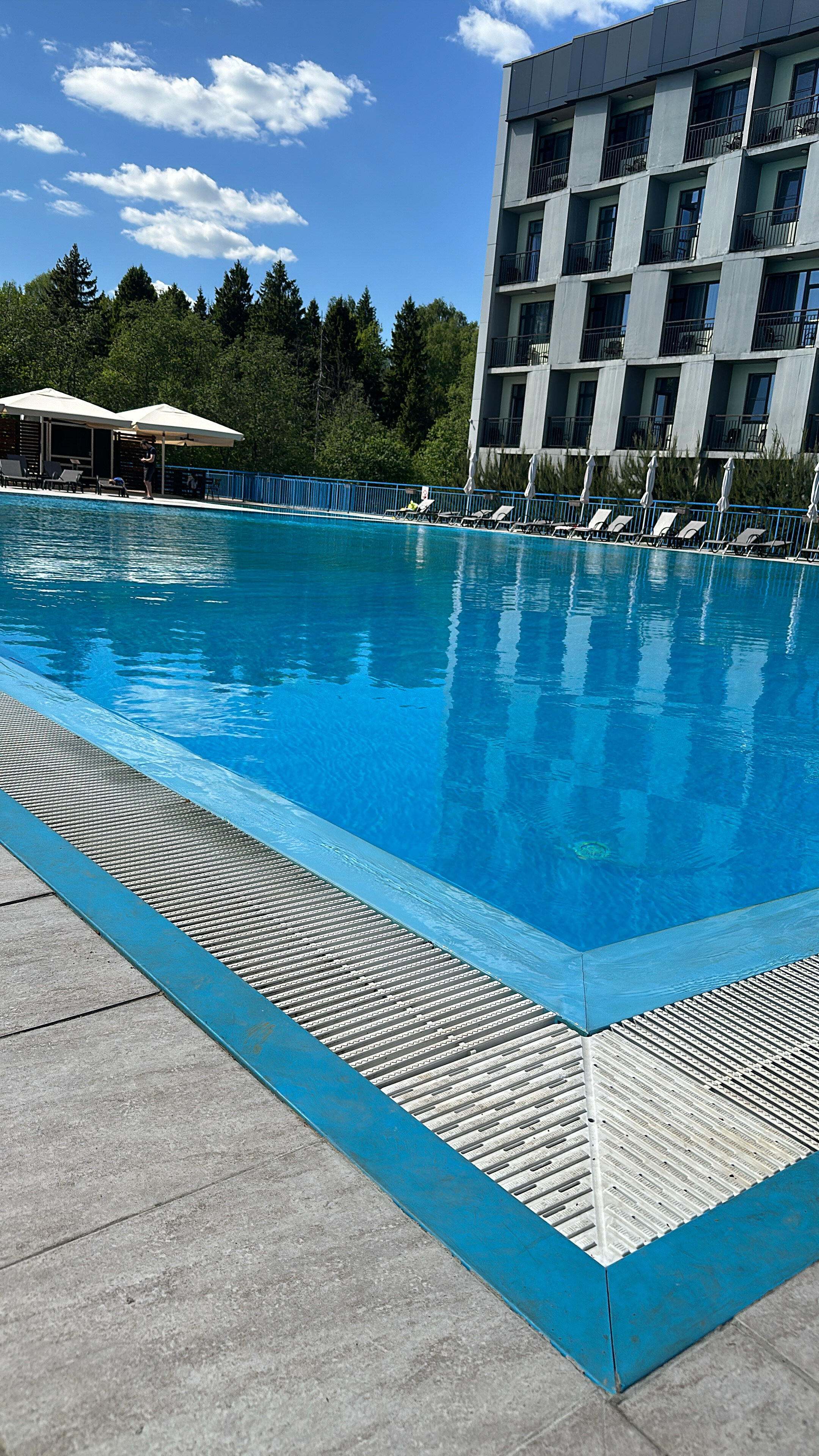 Фото Свежий ветер