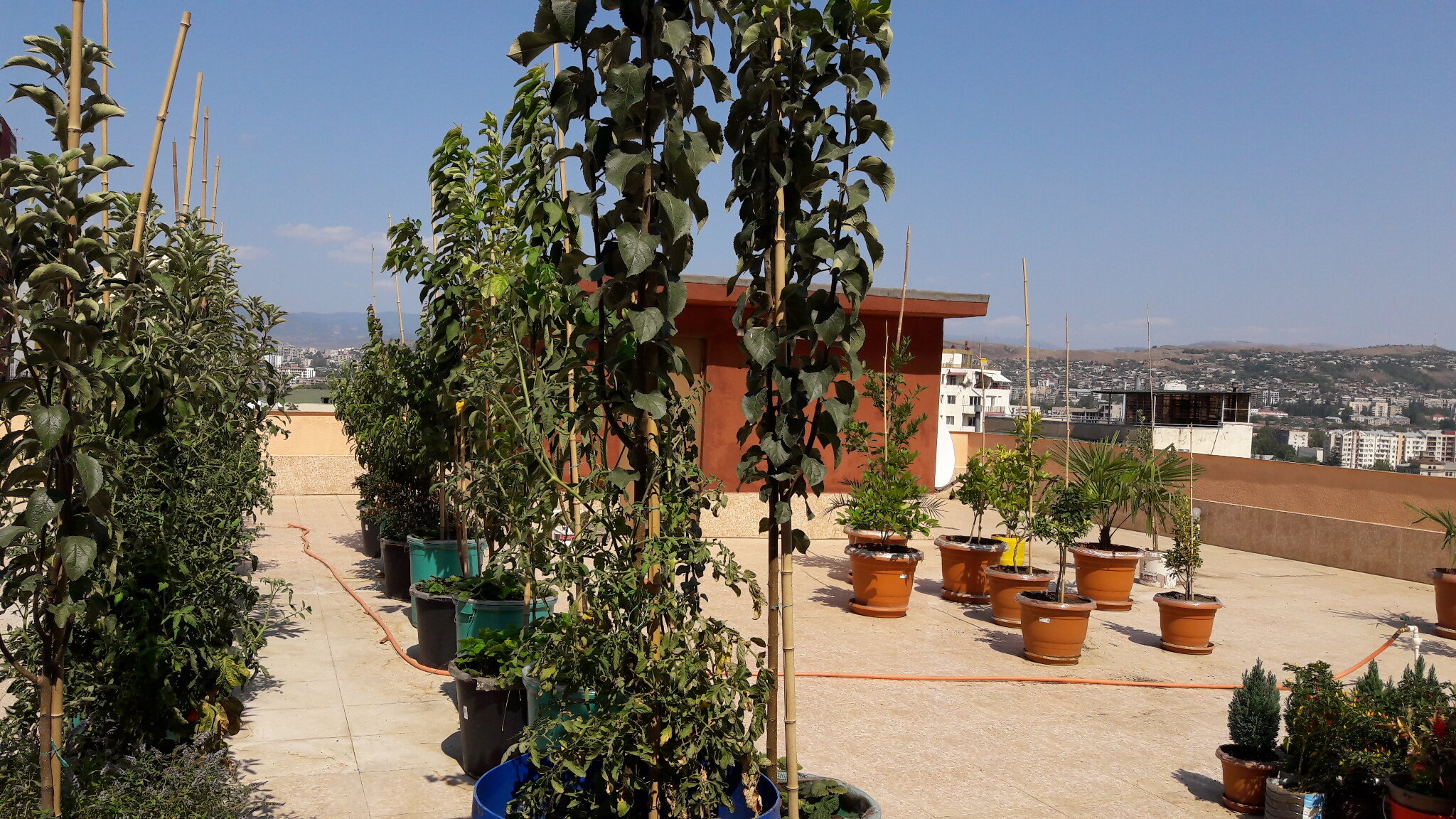 Фото ApartHotel Otin