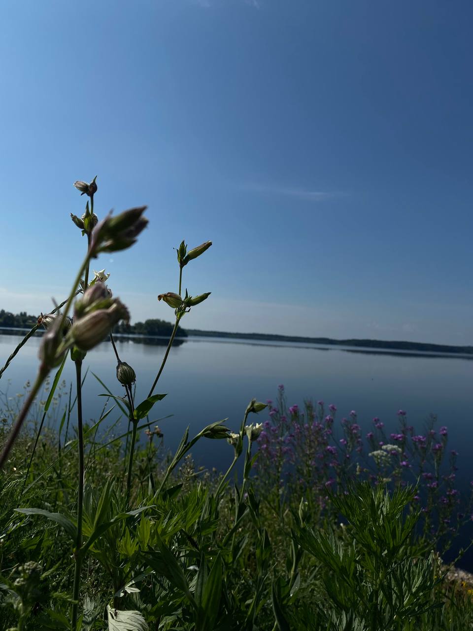 Фото Лейк лайф