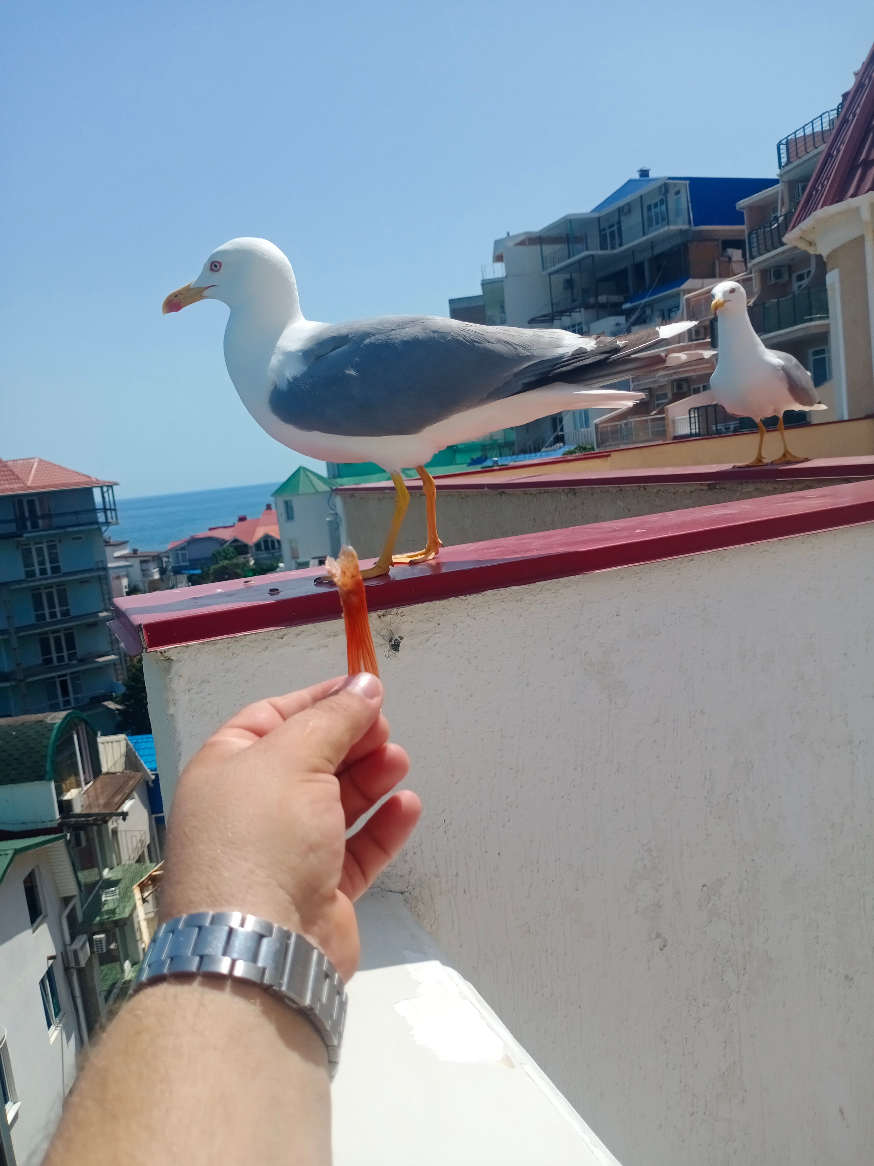 Фото Лагуна