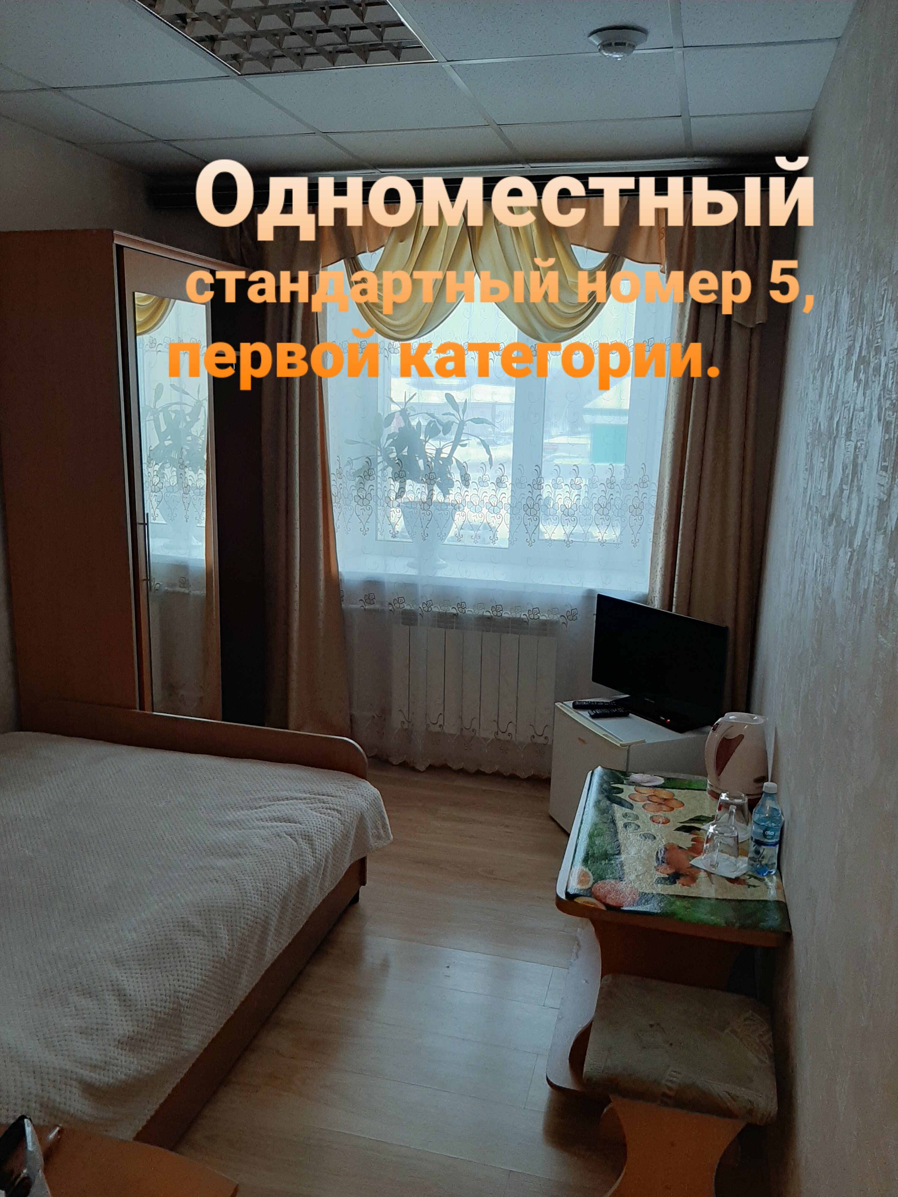 Фото Колибри