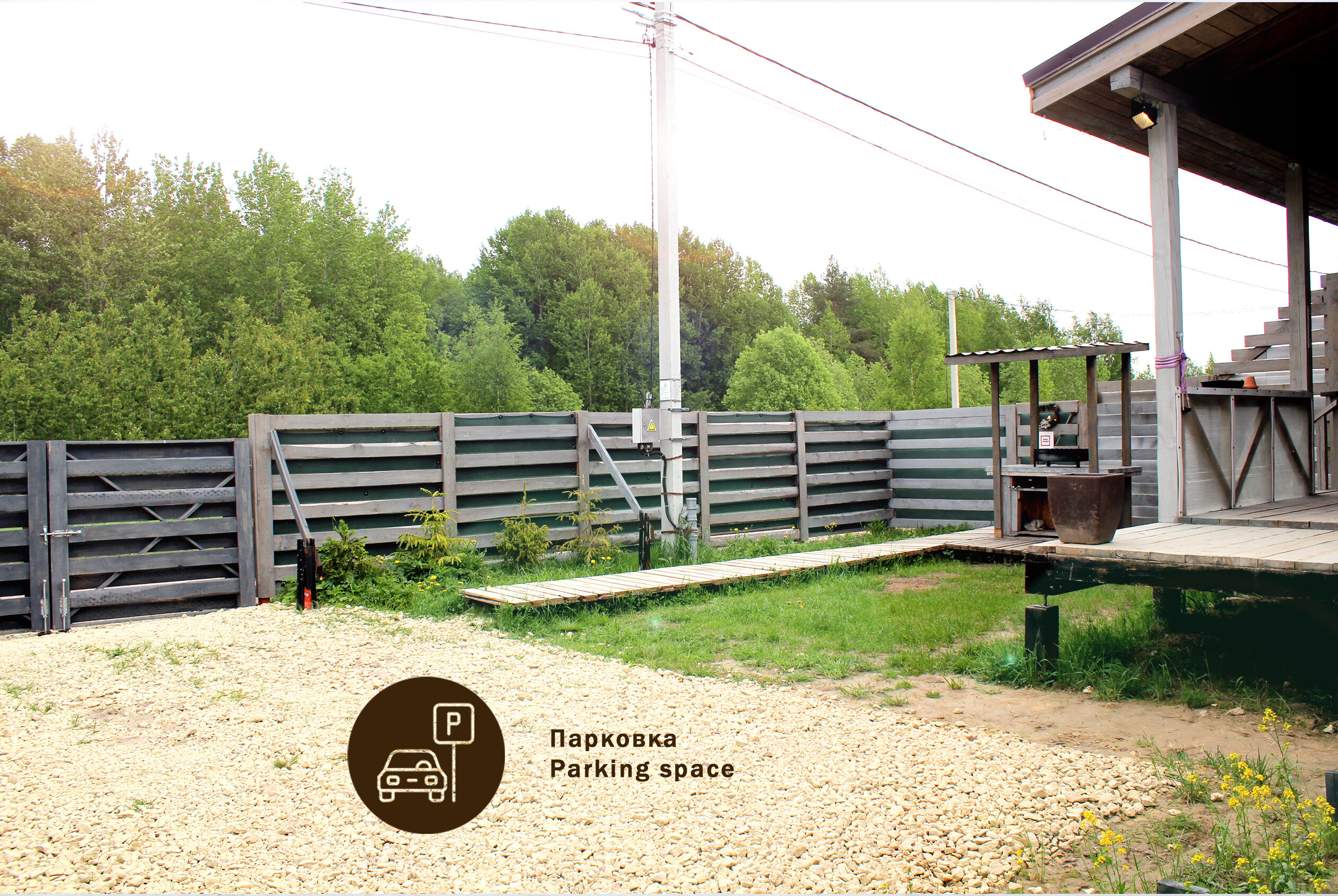 Фото Гнездо