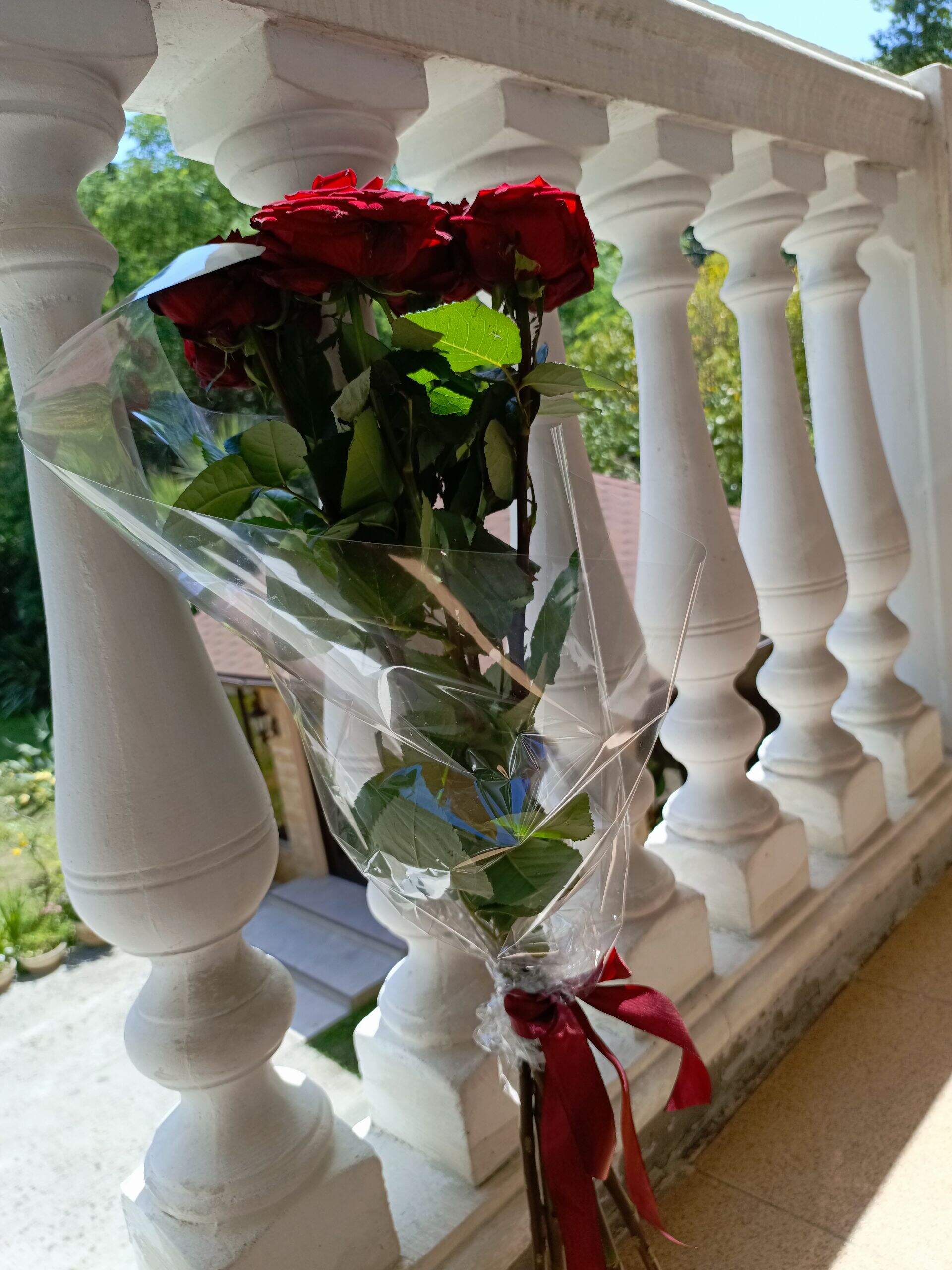 Фото Акация