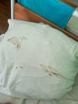 Свислочская городская больница (garadski pasiolak Svislach, Partyzanskaja vulica, 28), hospital