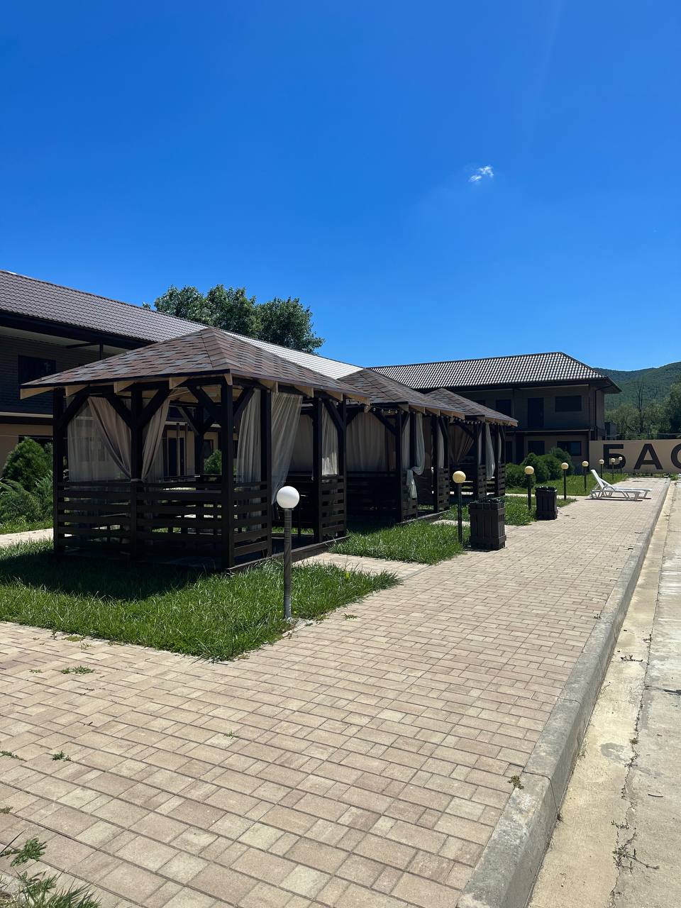 Фото Кипарис