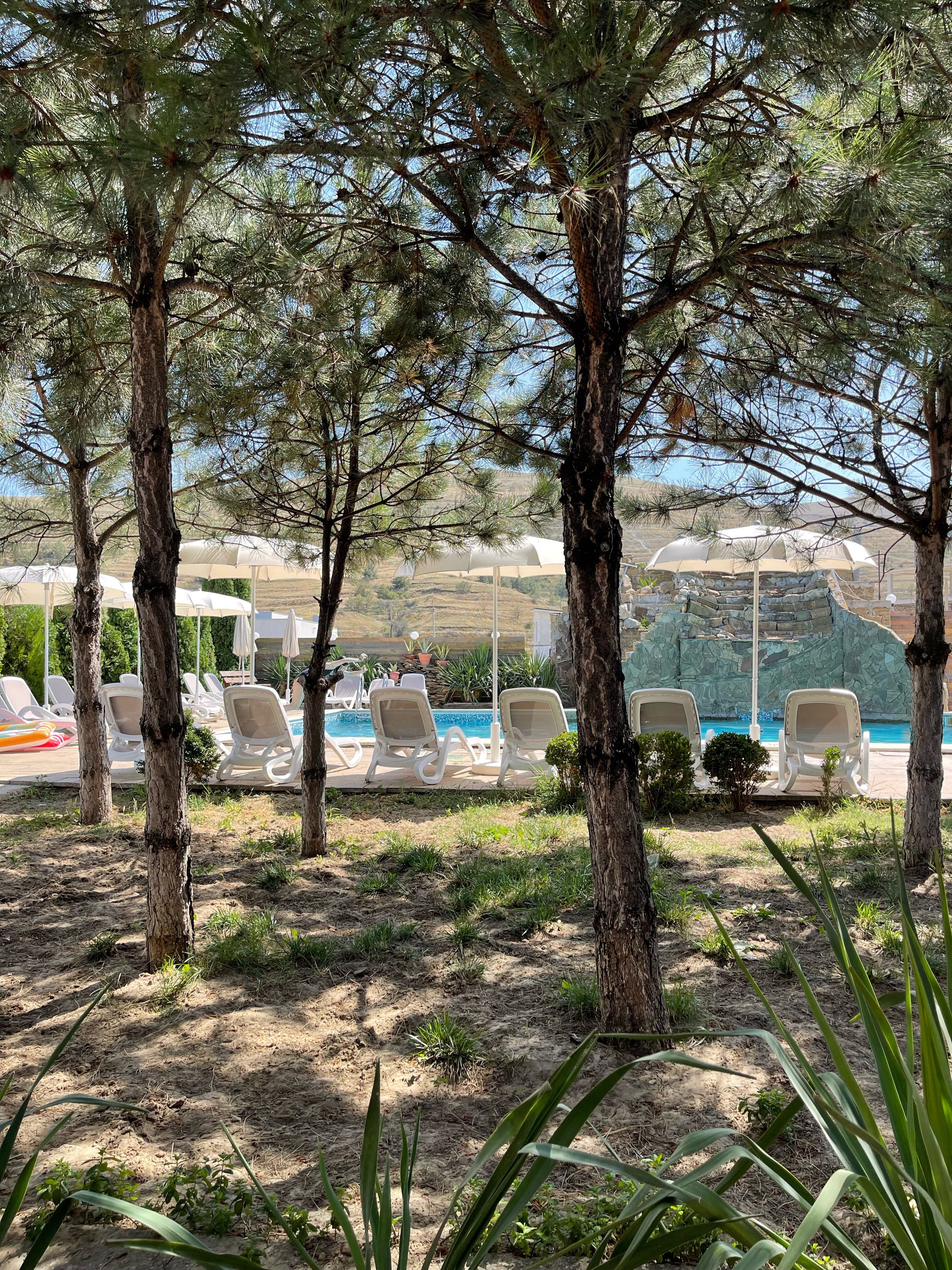 Фото Скифская долина