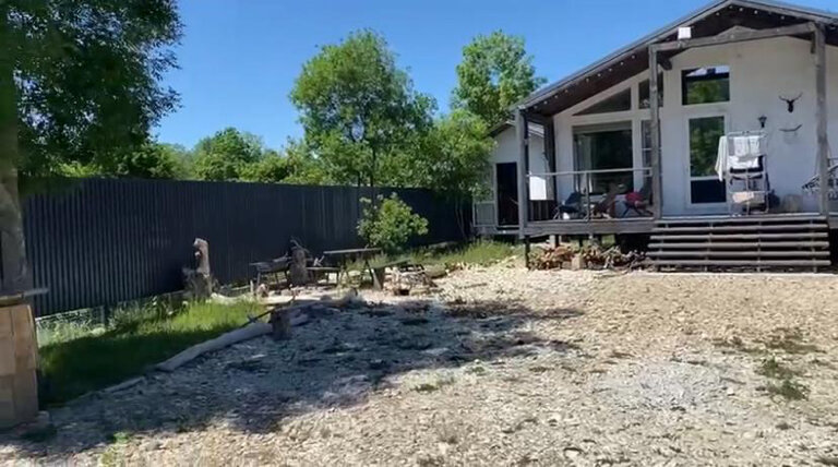 Фото Секвойя