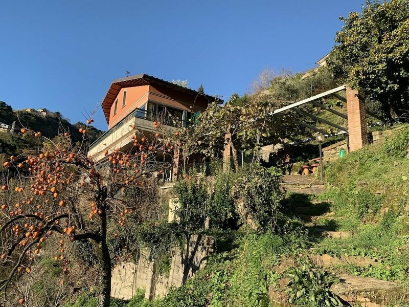 Гостиница Villa Vigna