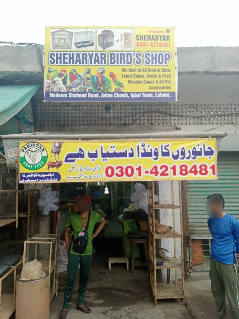 Egg and poultry meat Shehriyar Birds, Lahore, photo