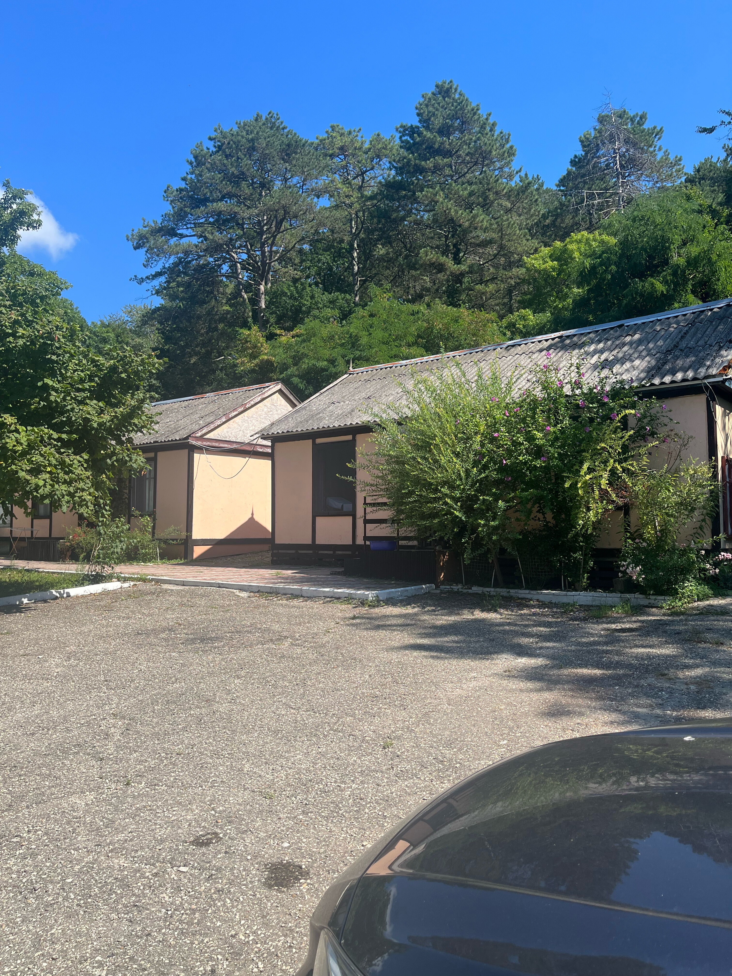 Фото Сосновый Бор