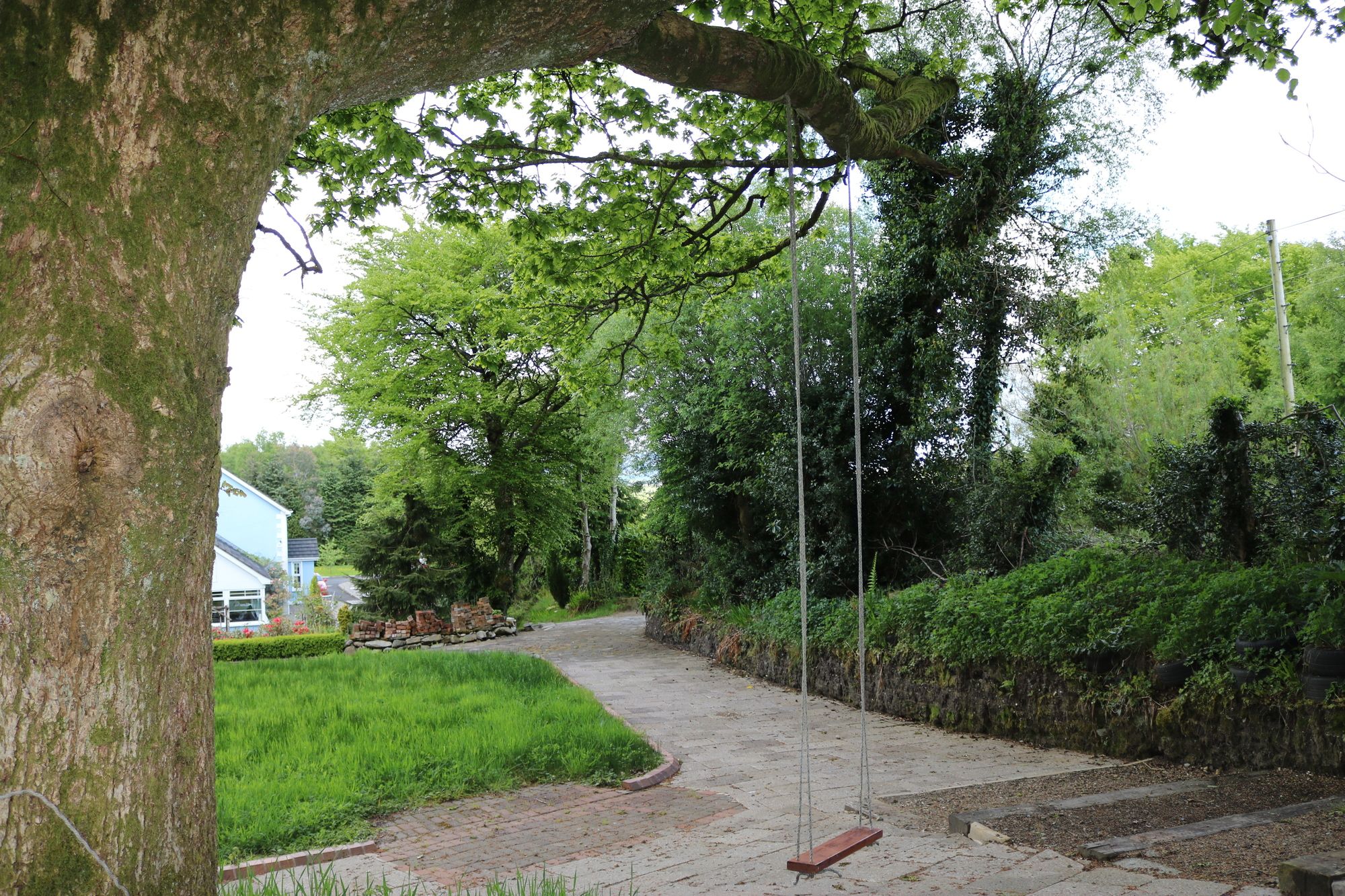 Фото Five Oaks Bed & Breakfast