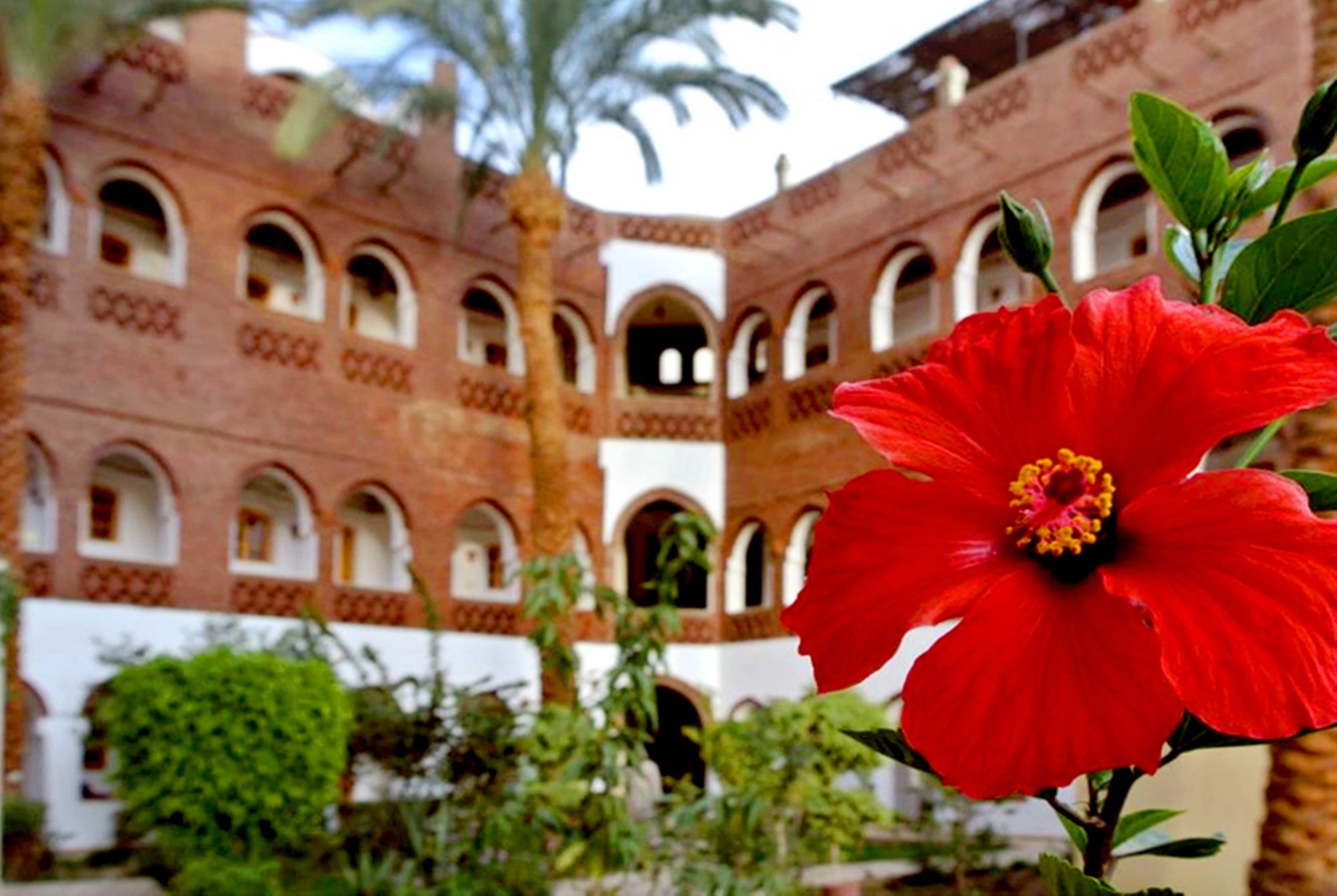 Фото отеля 4