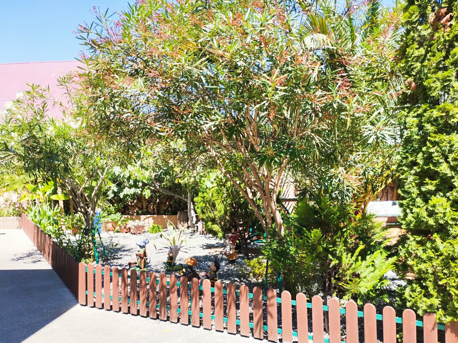 Фото Светлый Аллама групп