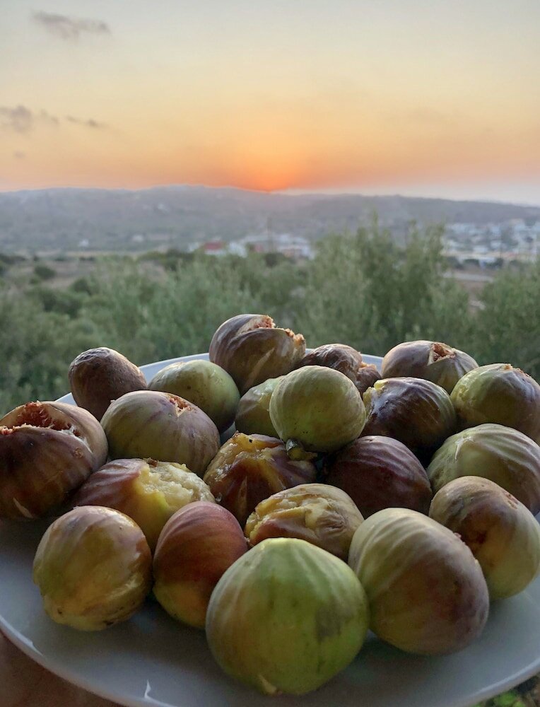 Фото Theoxenia Suites & Apartments