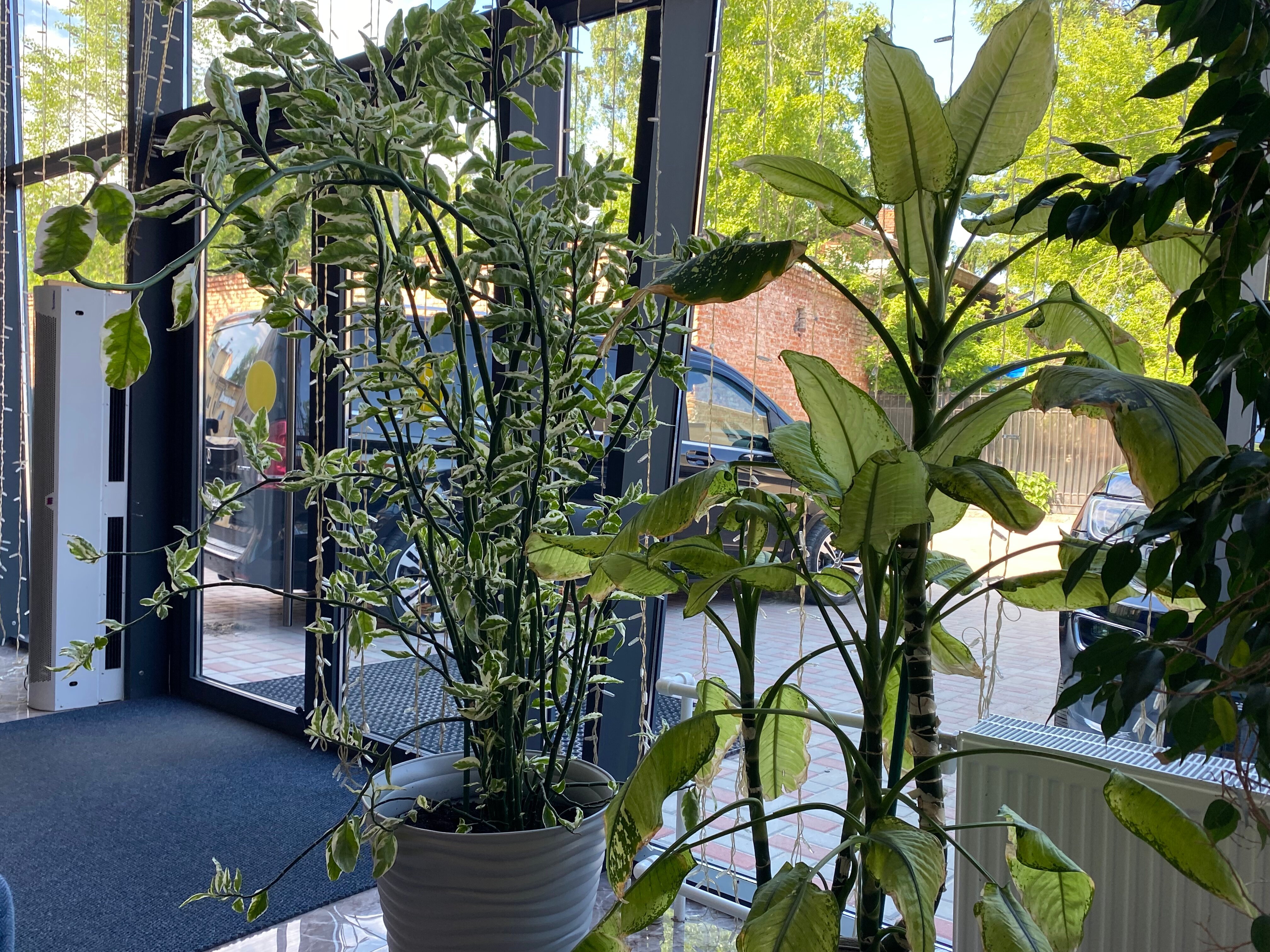 Фото Xander Hotel